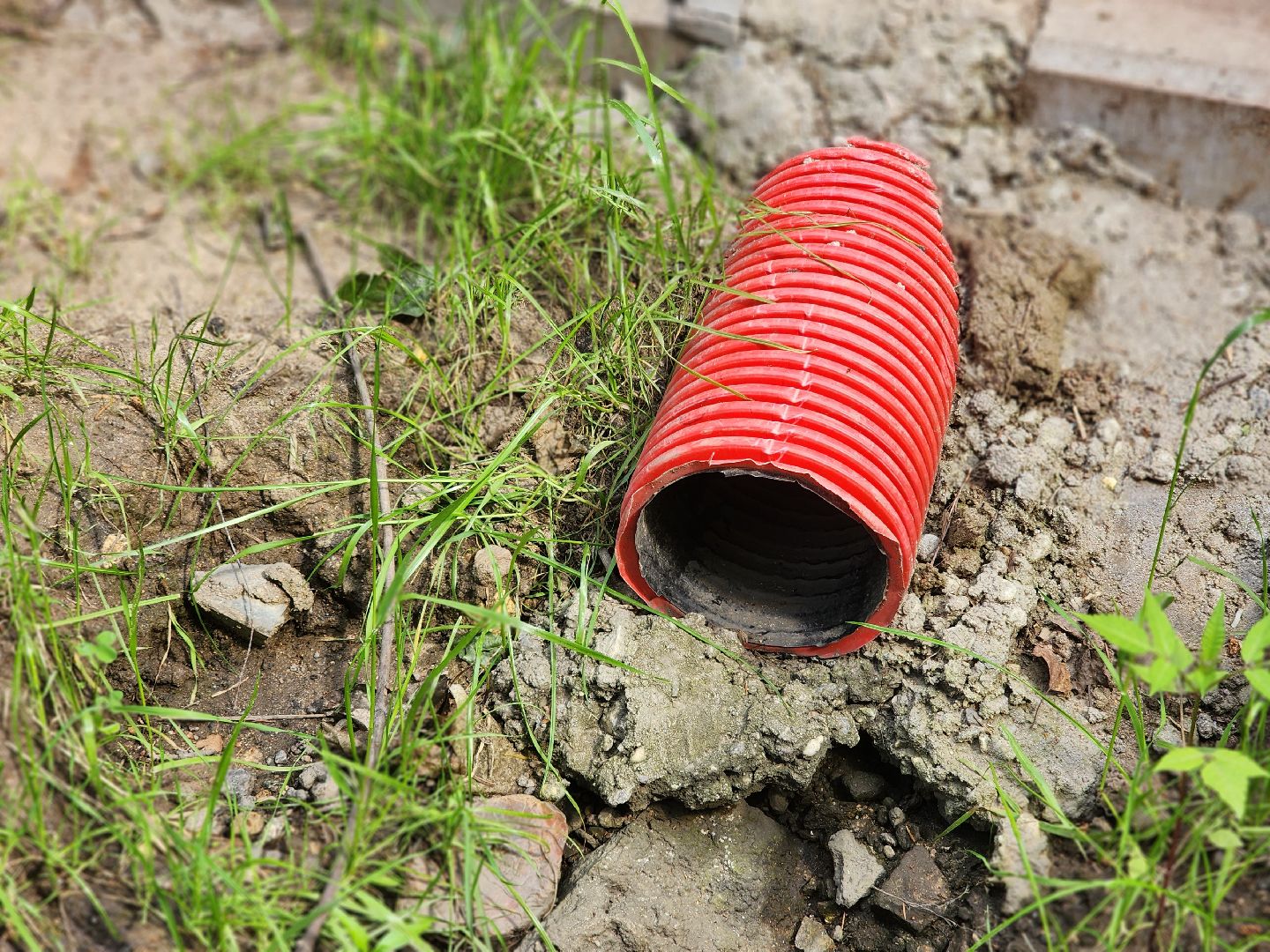 королёв, благоустройство народных троп, выбирали жители,