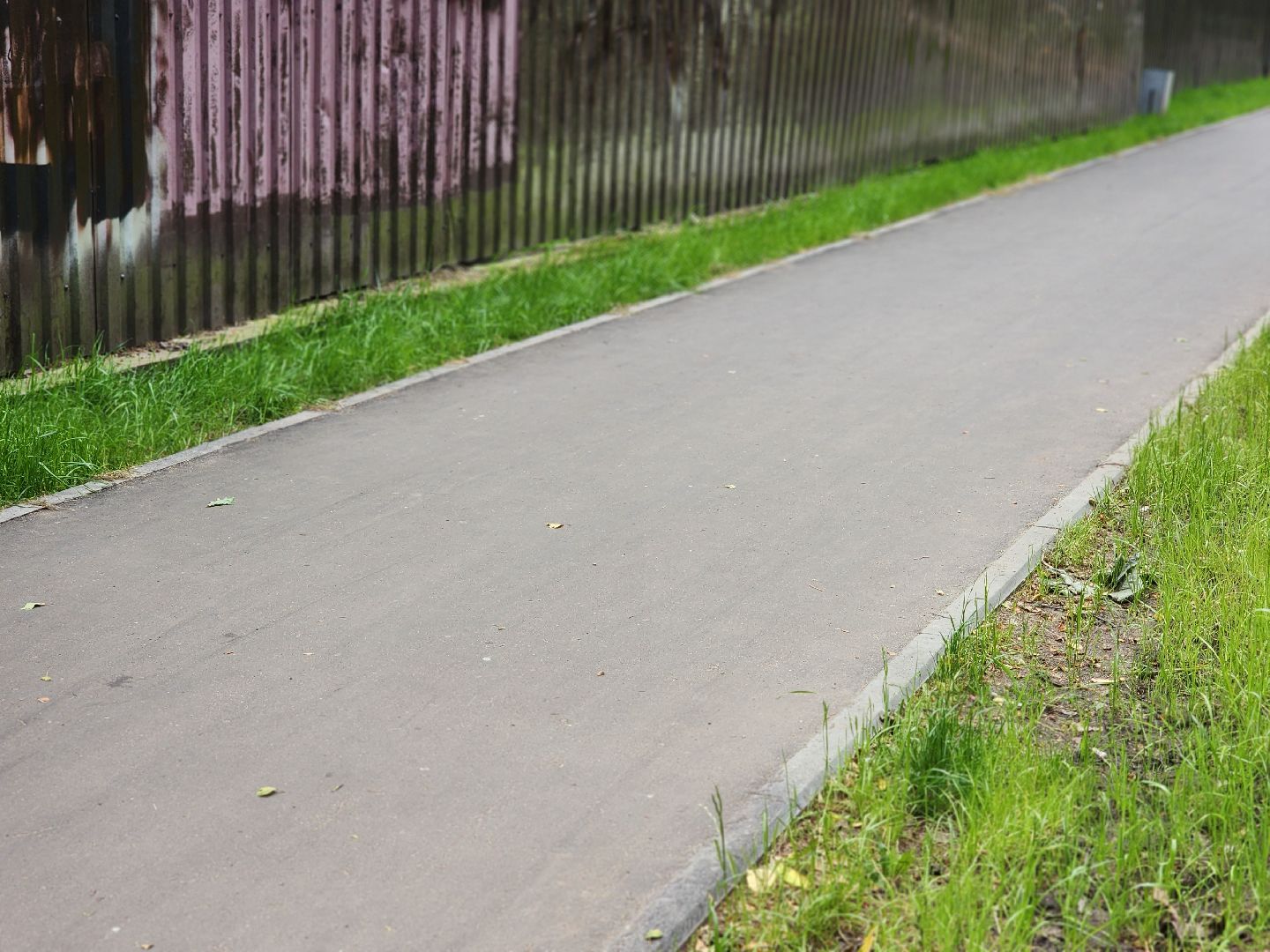 королёв, благоустройство народных троп, выбирали жители,