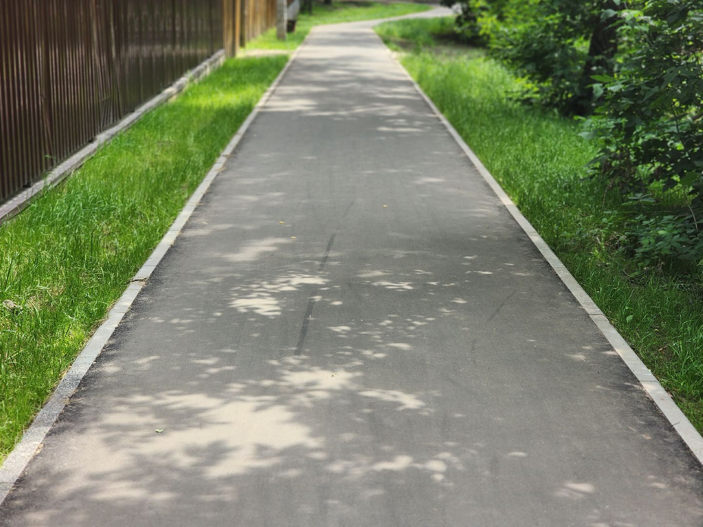 королёв, благоустройство народных троп, выбирали жители,