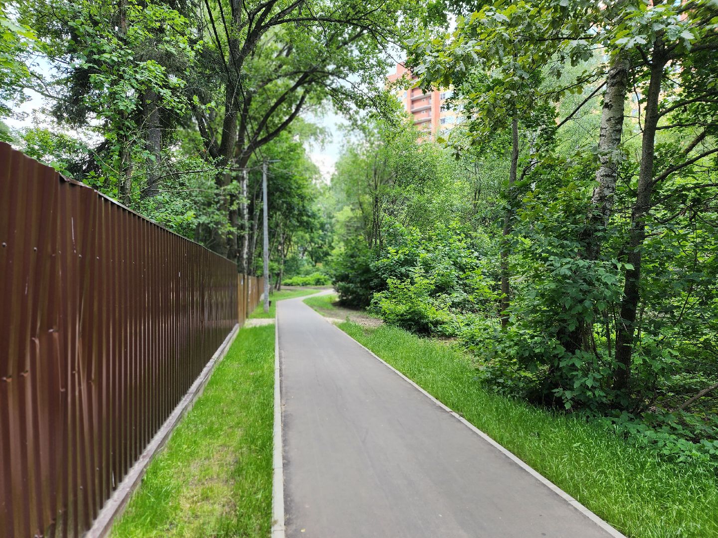 королёв, благоустройство народных троп, выбирали жители,