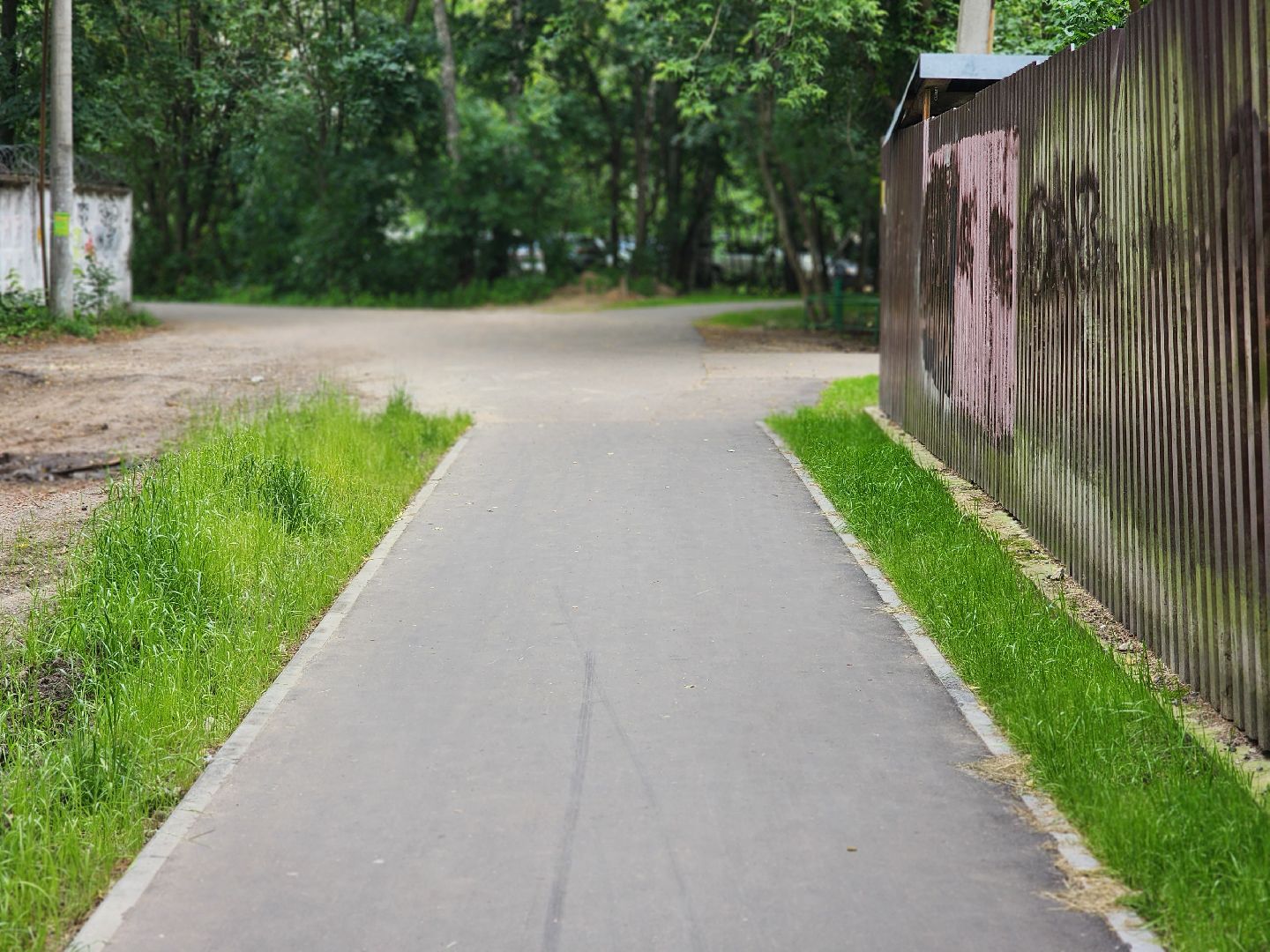 королёв, благоустройство народных троп, выбирали жители,