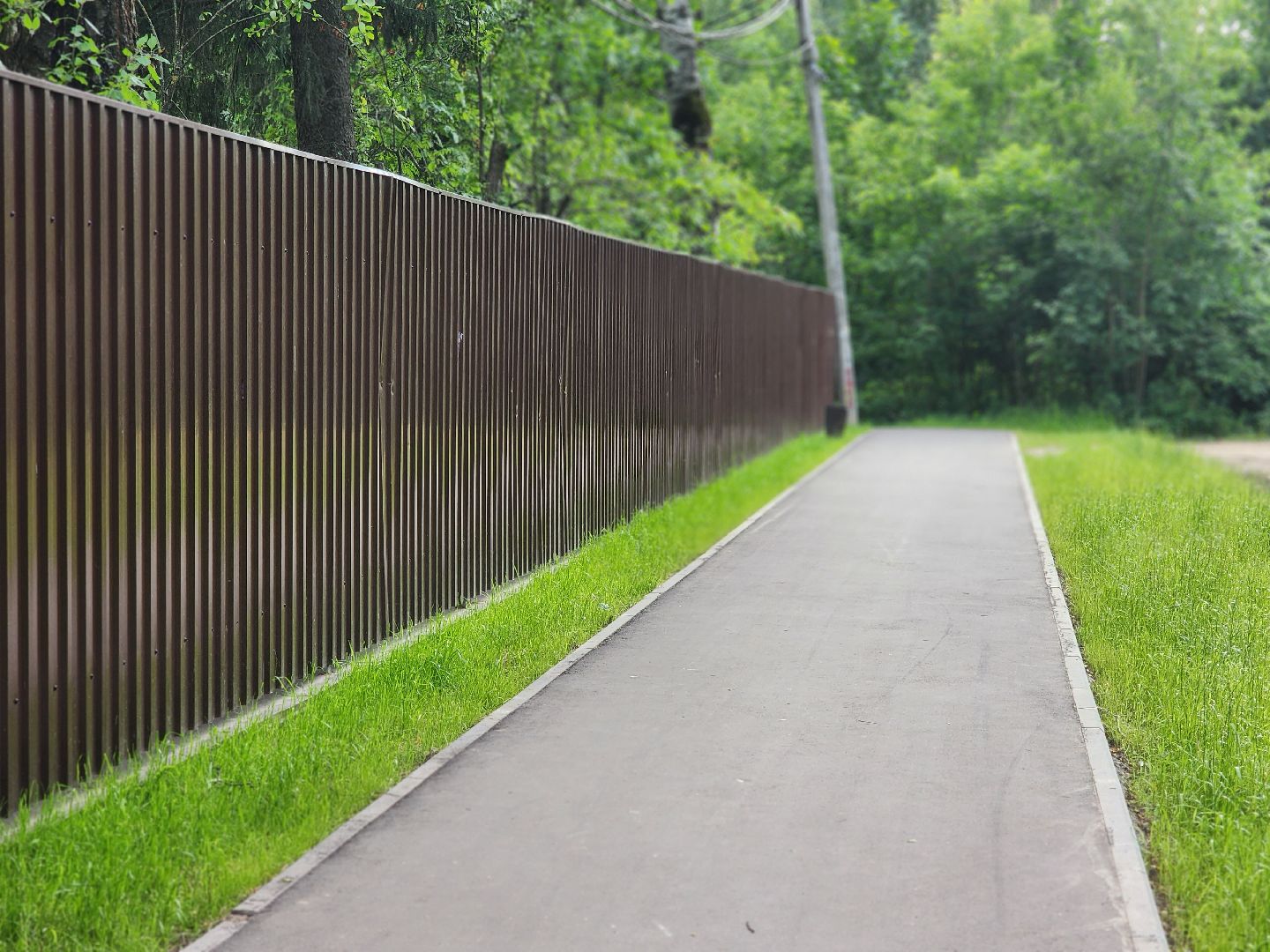 королёв, благоустройство народных троп, выбирали жители,