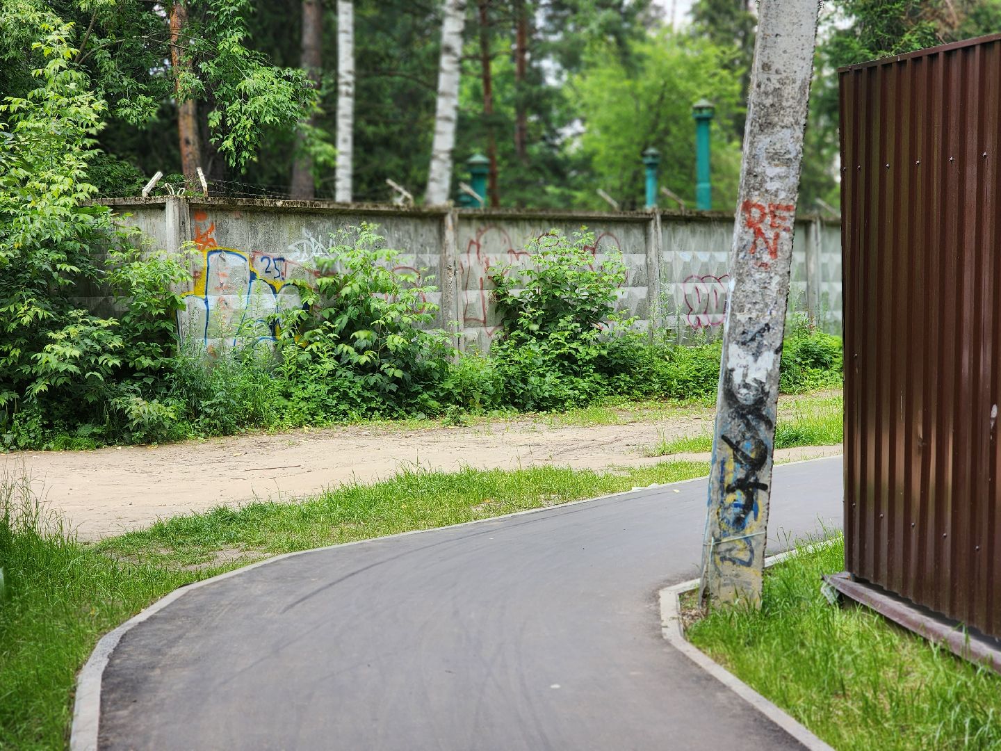 королёв, благоустройство народных троп, выбирали жители,