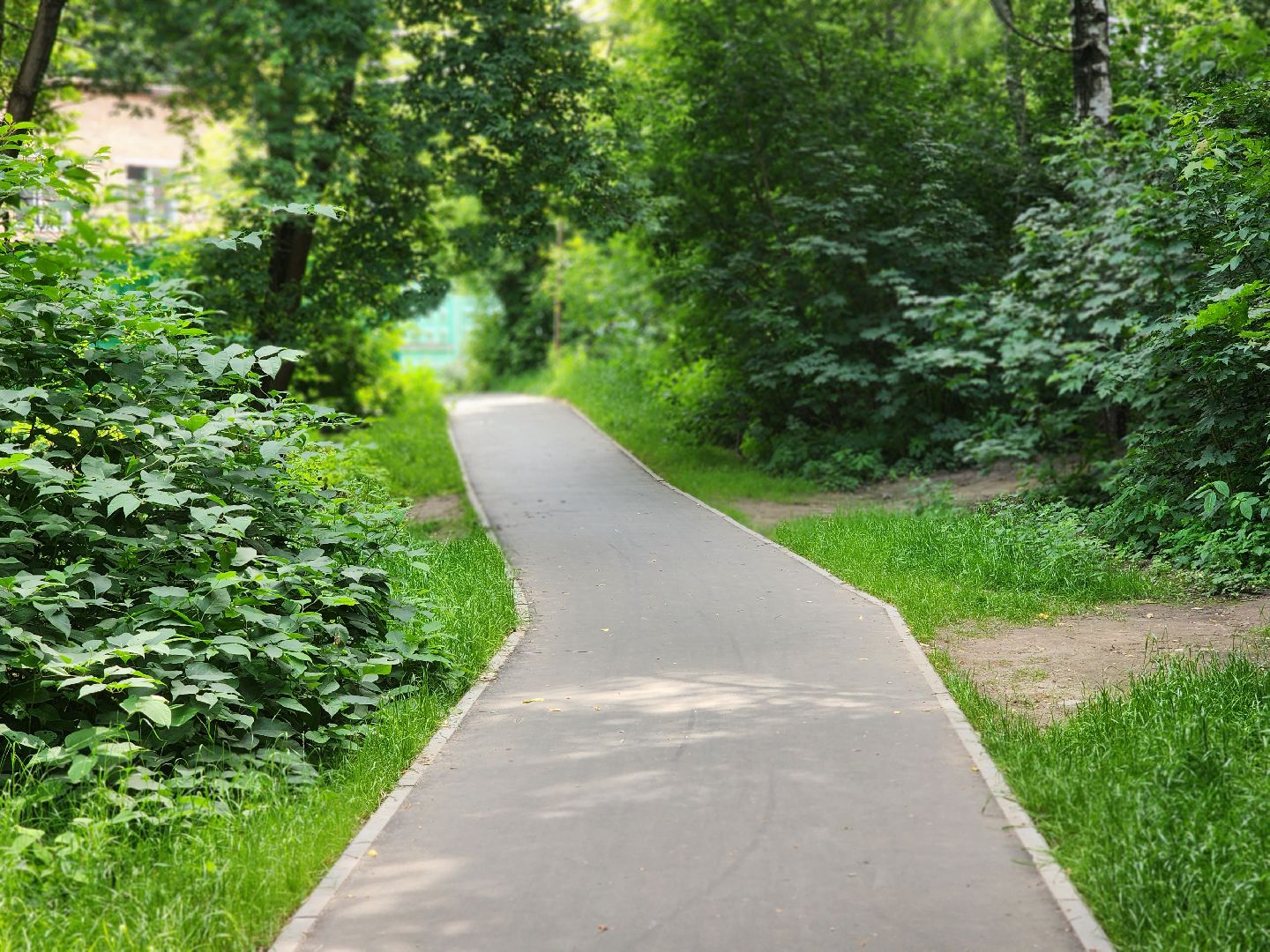 королёв, благоустройство народных троп, выбирали жители,