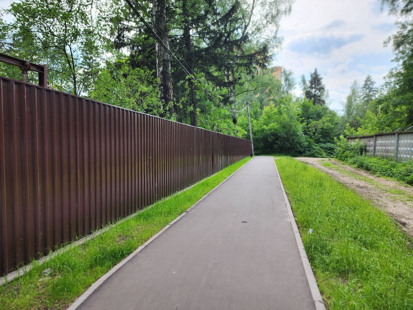 королёв, благоустройство народных троп, выбирали жители,