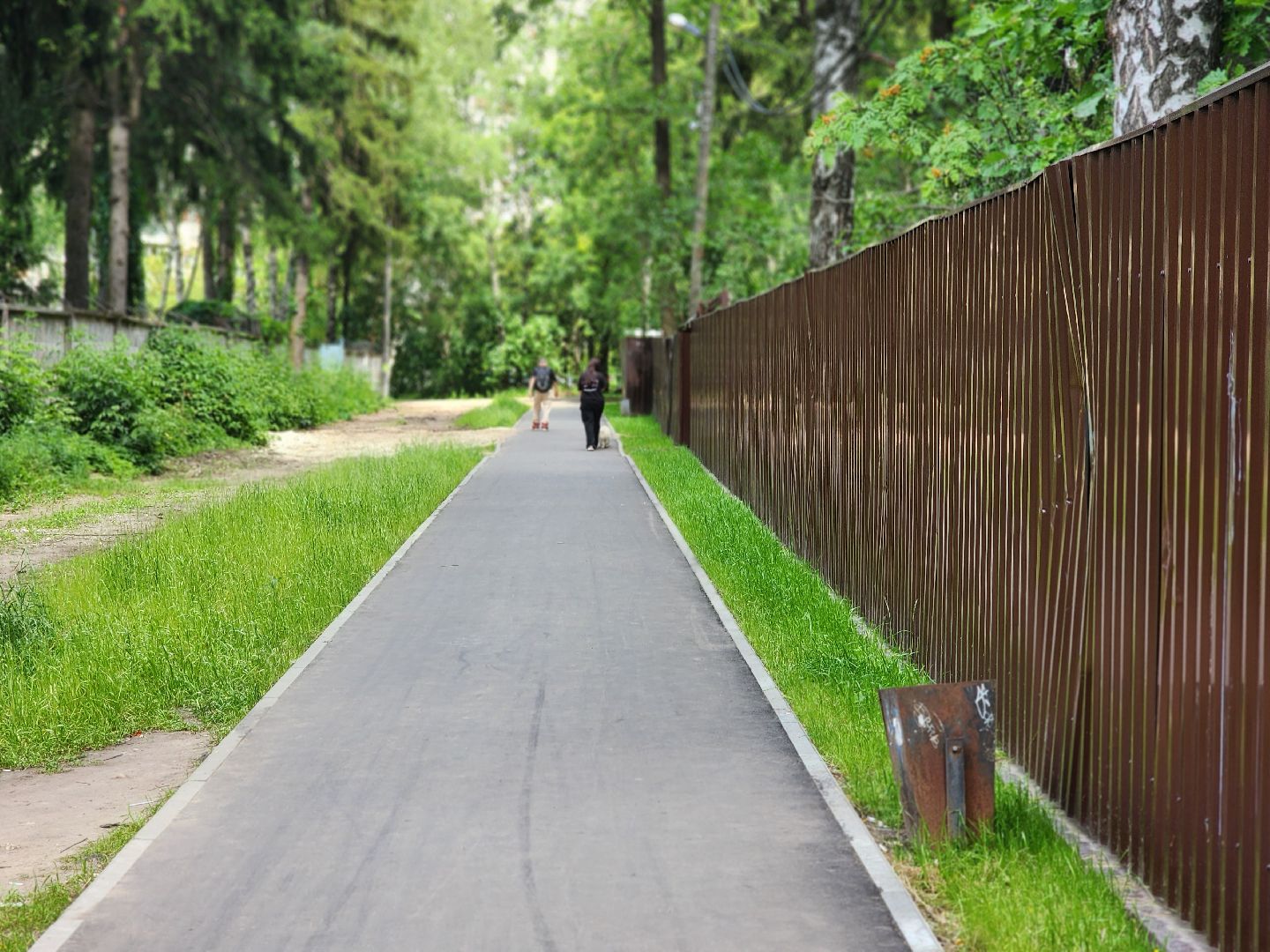 королёв, благоустройство народных троп, выбирали жители,