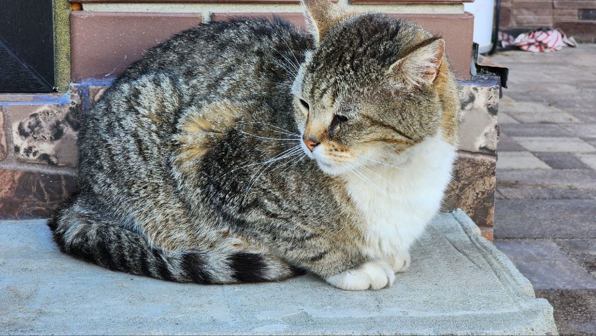 Дмитров, Многодетная семья, Губайдуллины,