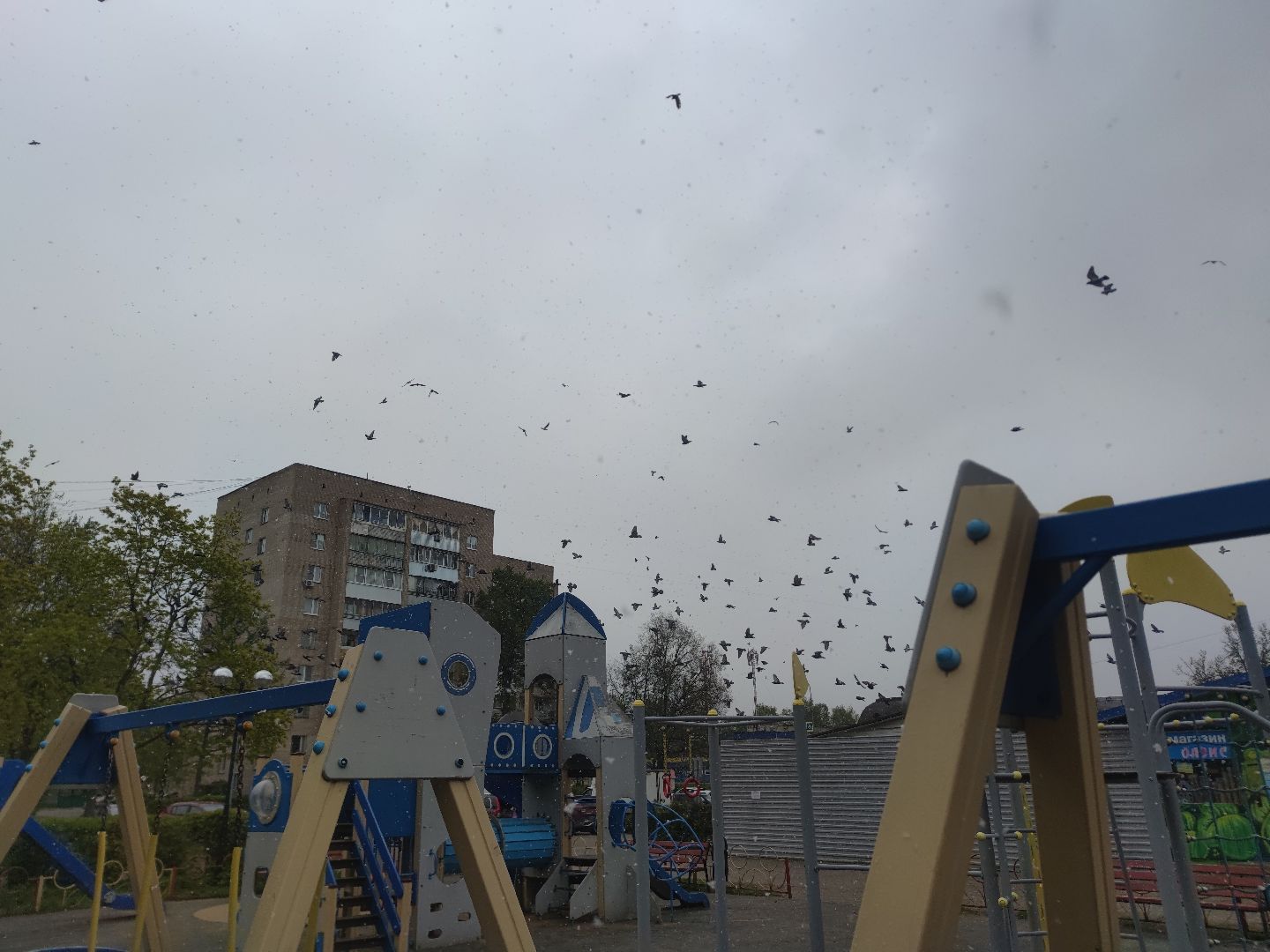 Погода, снег, осадки, Дубна