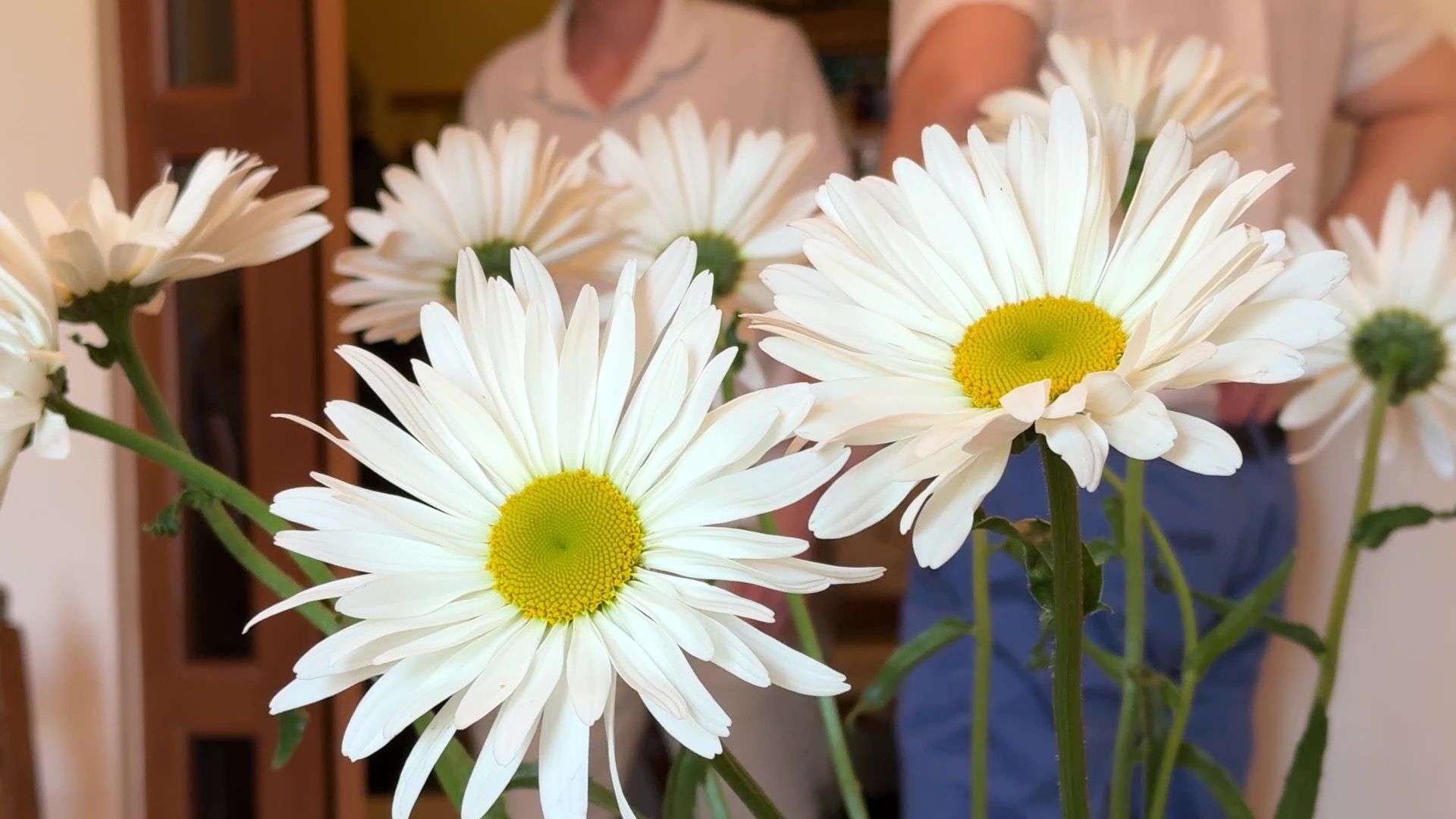 Реутов, день семьи любви и верности, праздник, семья Катковых,