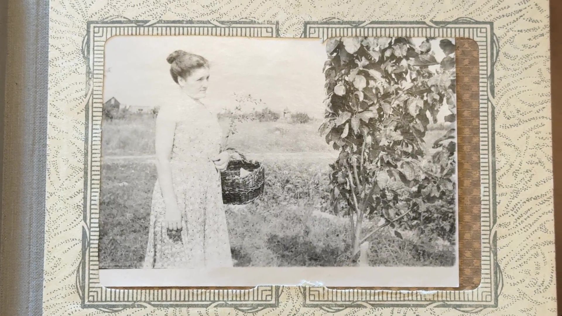 Реутов, день семьи любви и верности, праздник, семья Катковых,