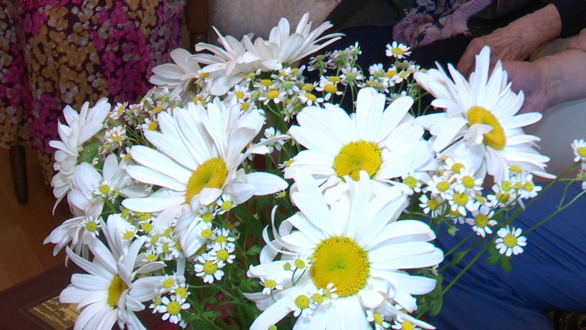 Реутов, день семьи любви и верности, праздник, семья Катковых,