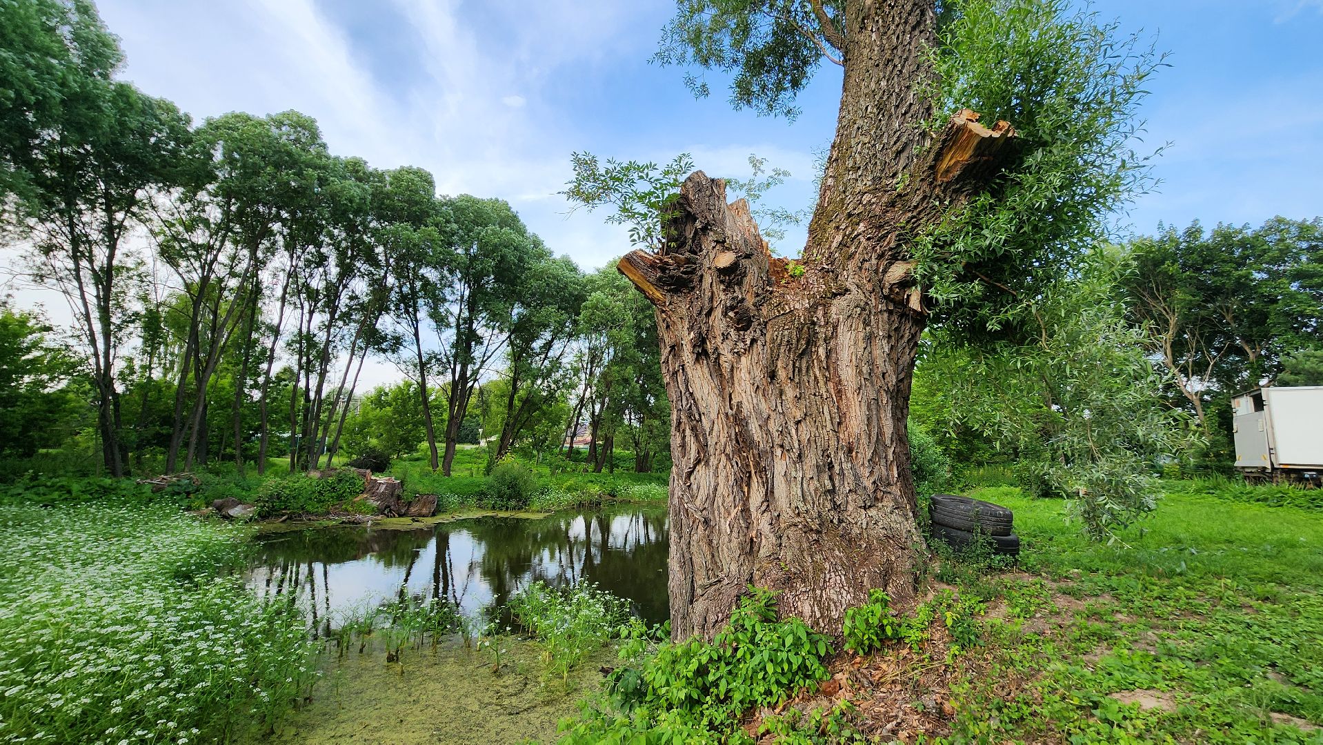 ступино, выездная администрация, благоустройство,