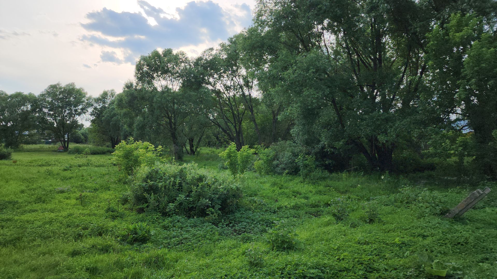 ступино, выездная администрация, благоустройство,