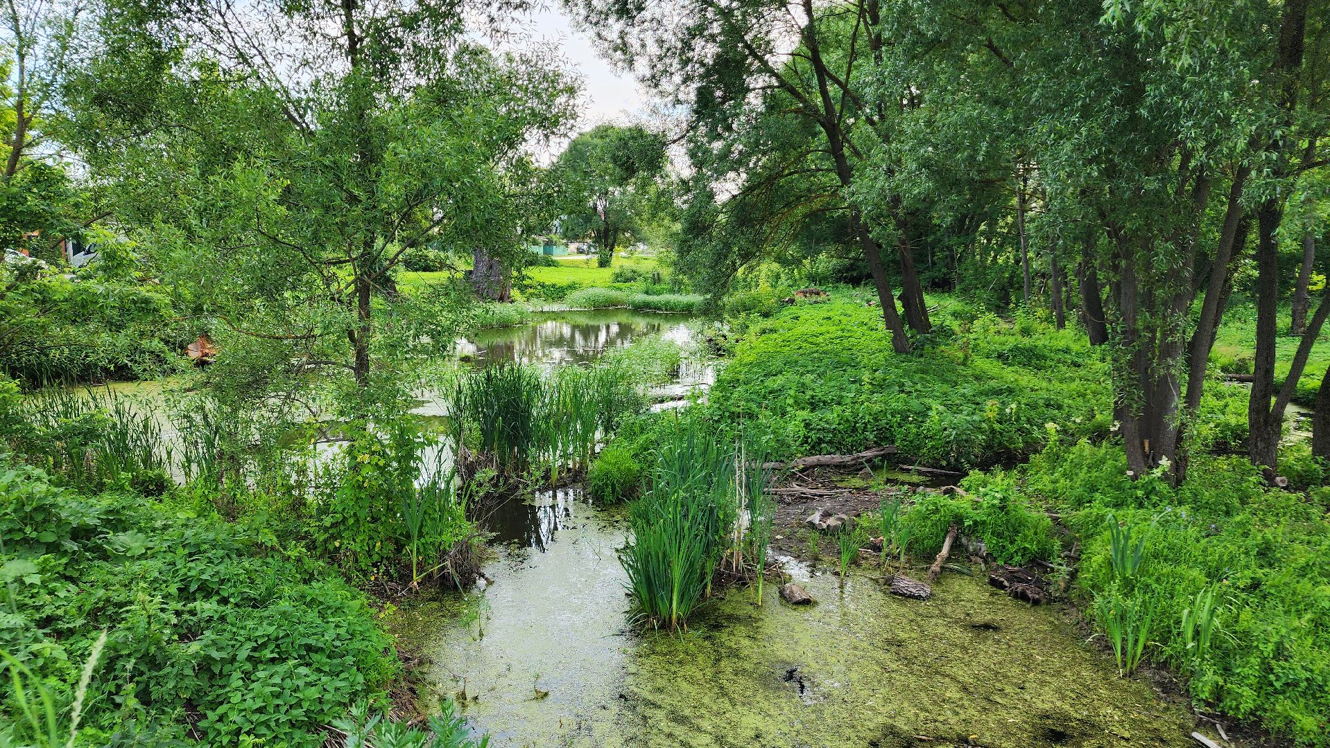 ступино, выездная администрация, благоустройство,