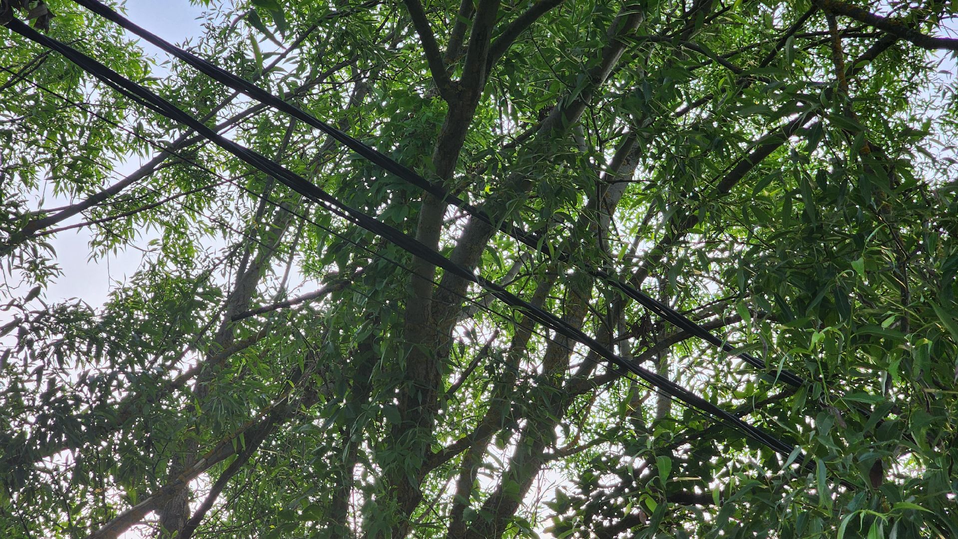 ступино, выездная администрация, благоустройство,