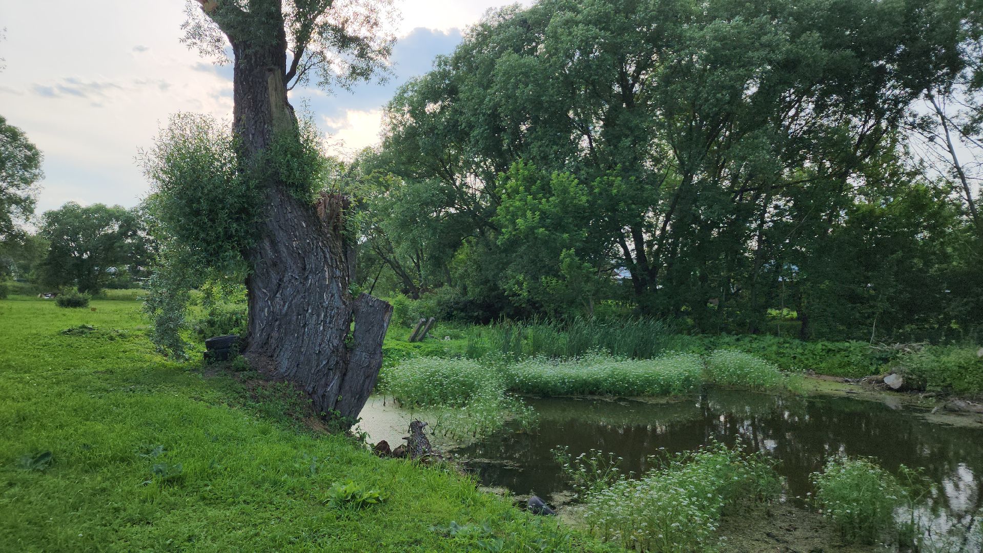 ступино, выездная администрация, благоустройство,