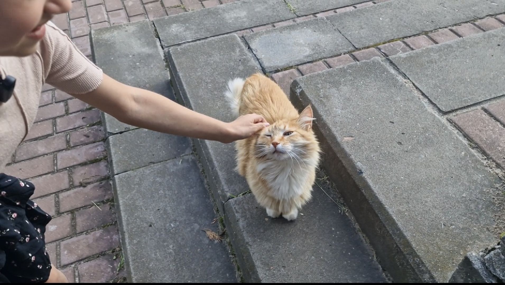 дубна, деньсемьилюбвииверности, многодетнаясемья,