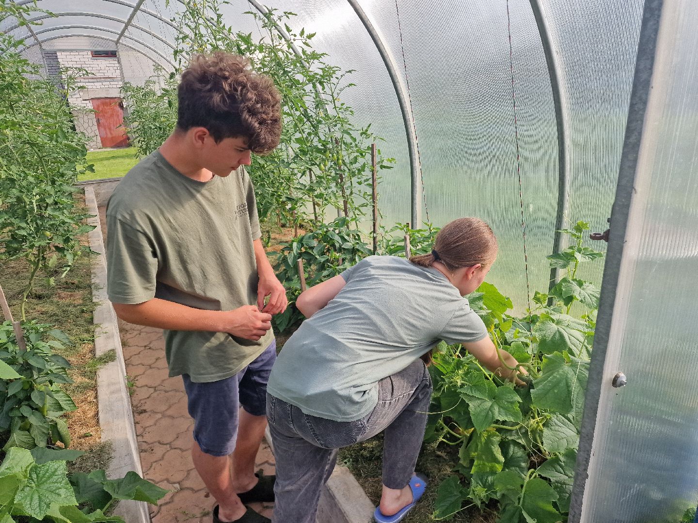 дубна, деньсемьилюбвииверности, многодетнаясемья,