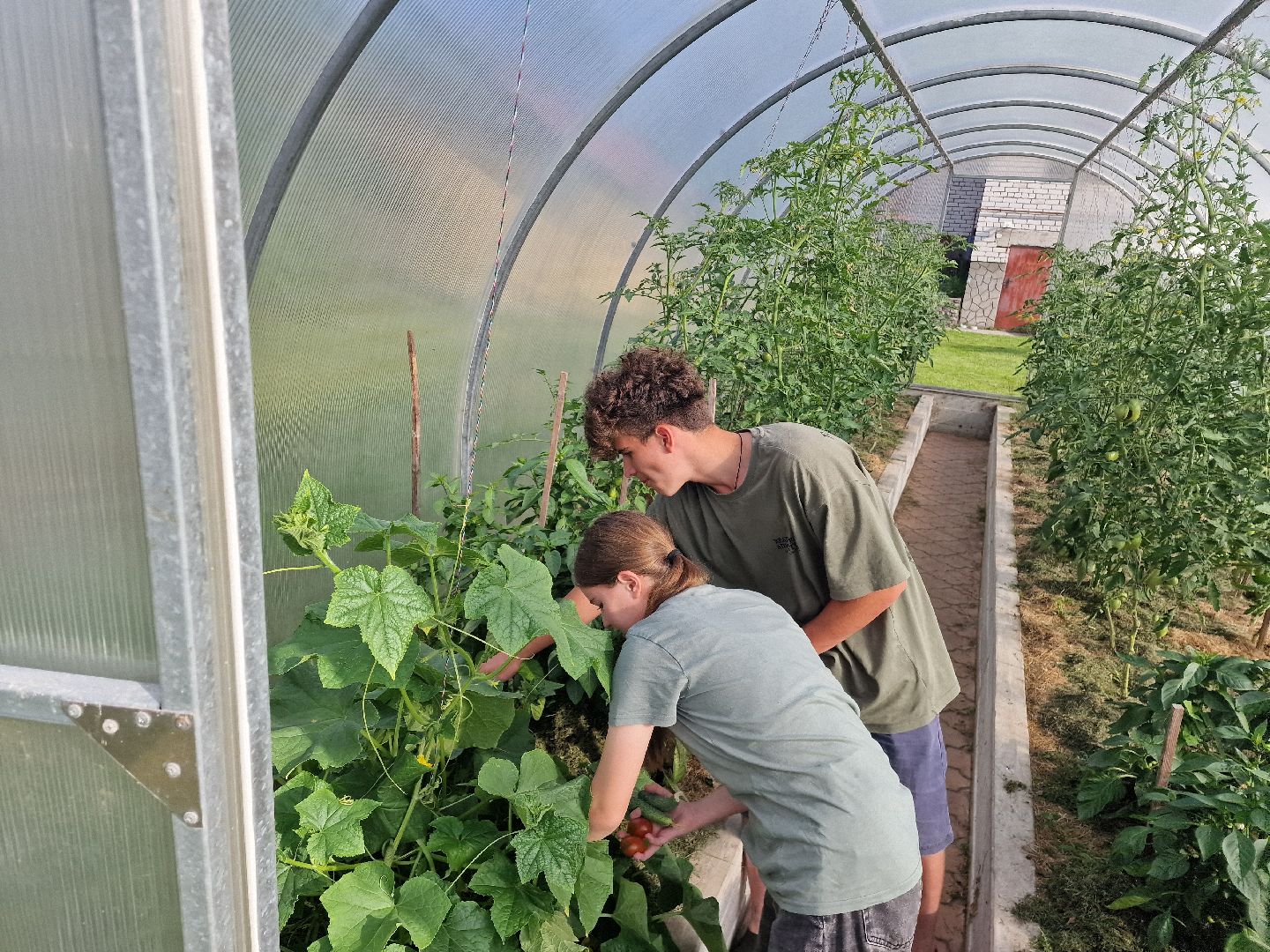 дубна, деньсемьилюбвииверности, многодетнаясемья,