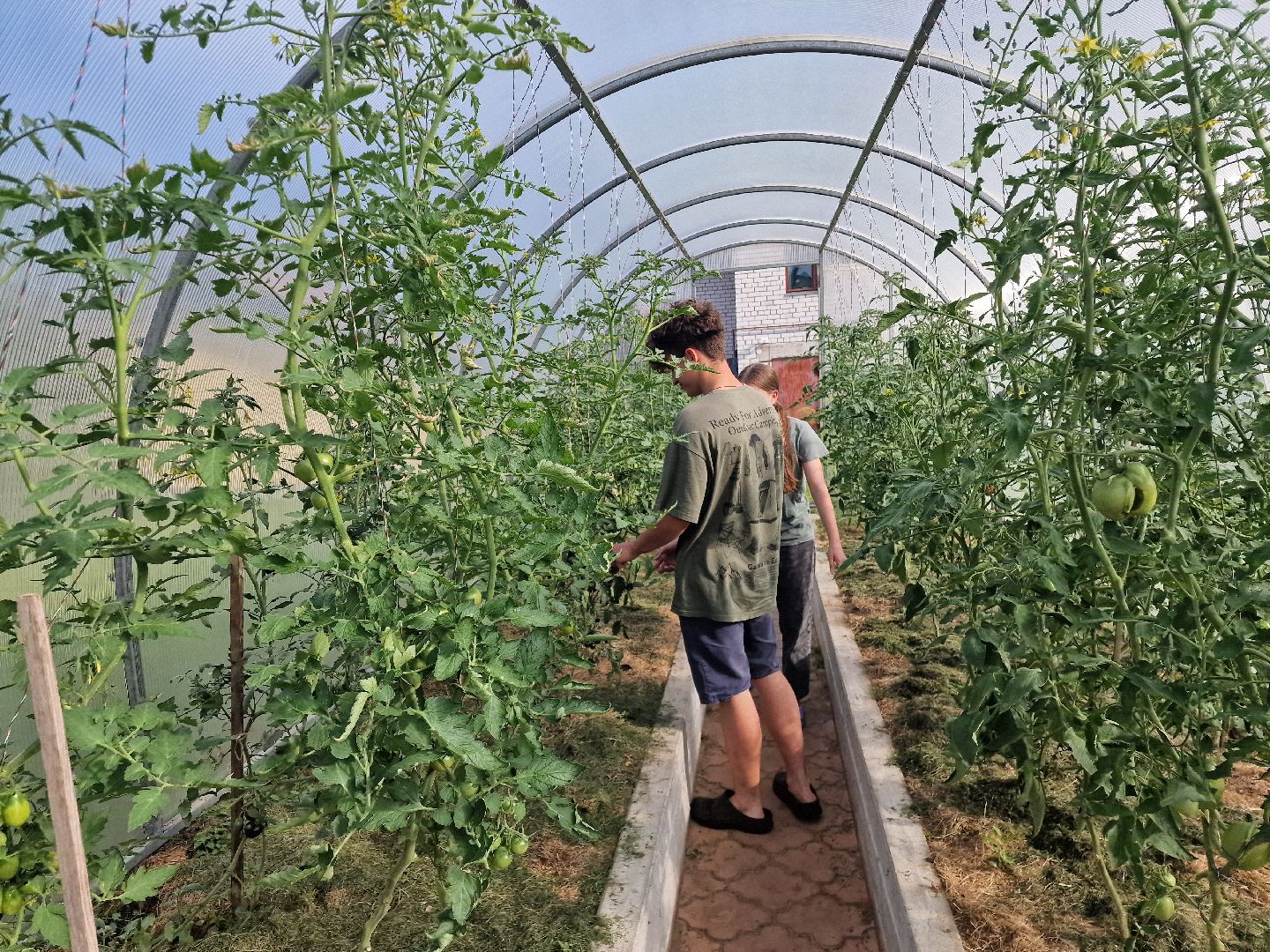 дубна, деньсемьилюбвииверности, многодетнаясемья,