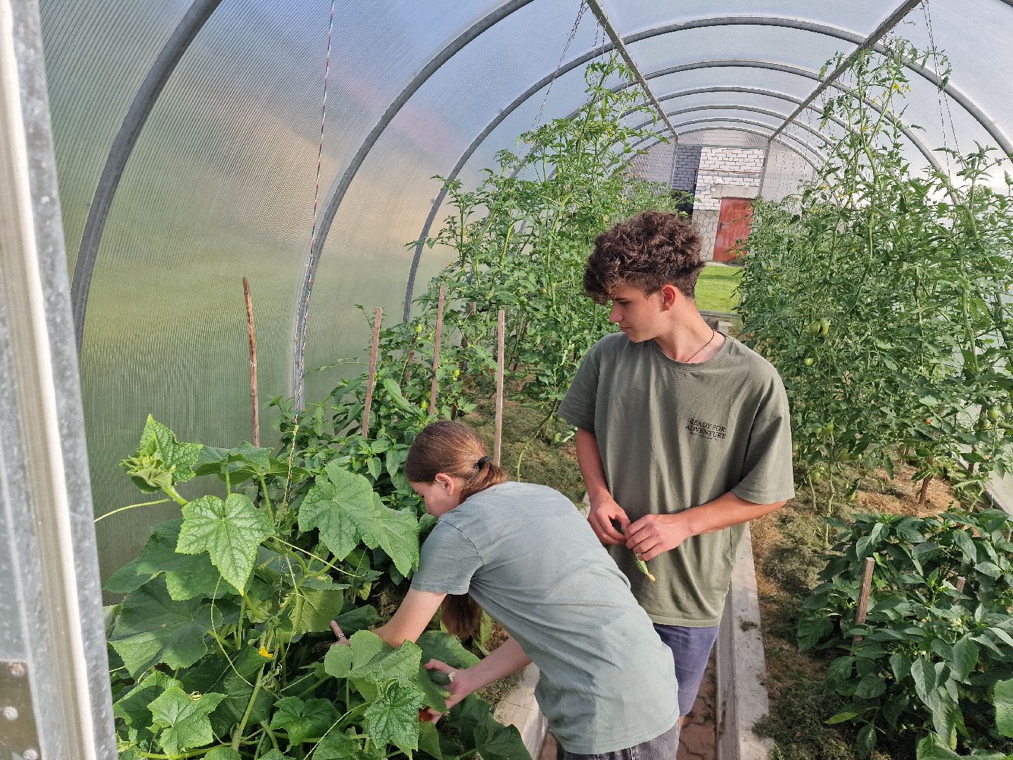 дубна, деньсемьилюбвииверности, многодетнаясемья,
