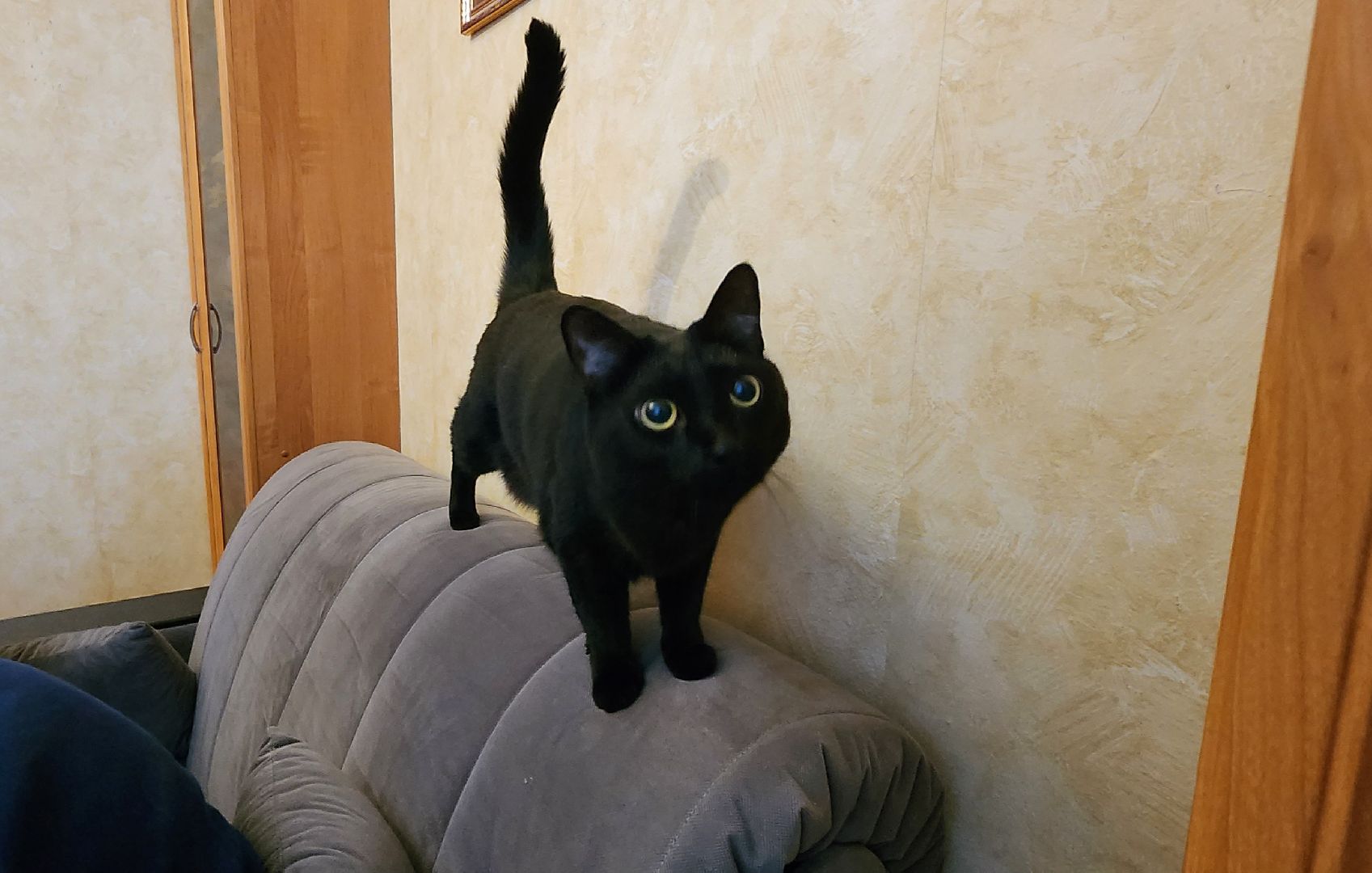 химки, многодетная мама, многодетная семья, день семьи любви и верности,