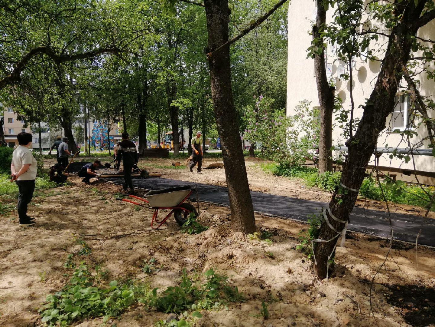 городской округ восход, благоустройство, асфальтовое покрытие, асфальтирование,