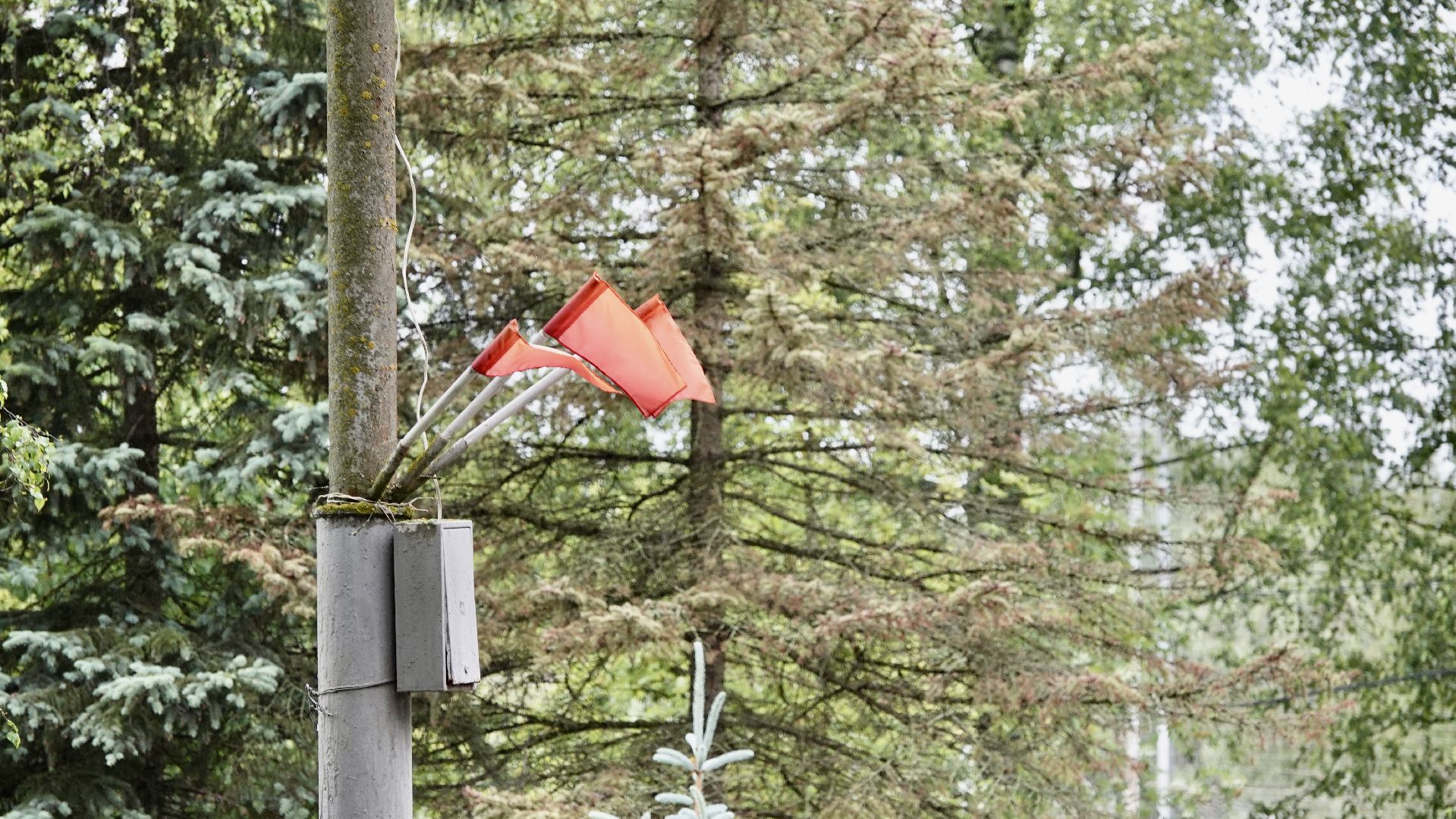 хотьково, сергиево-посадский городской округ, благоустройство, выбор жителей , парк победы , патриотизм ,