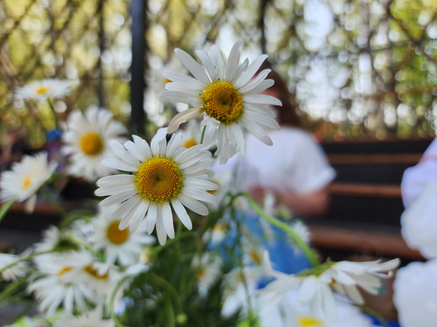 Егорьевск , Подмосковье , Московская область ,