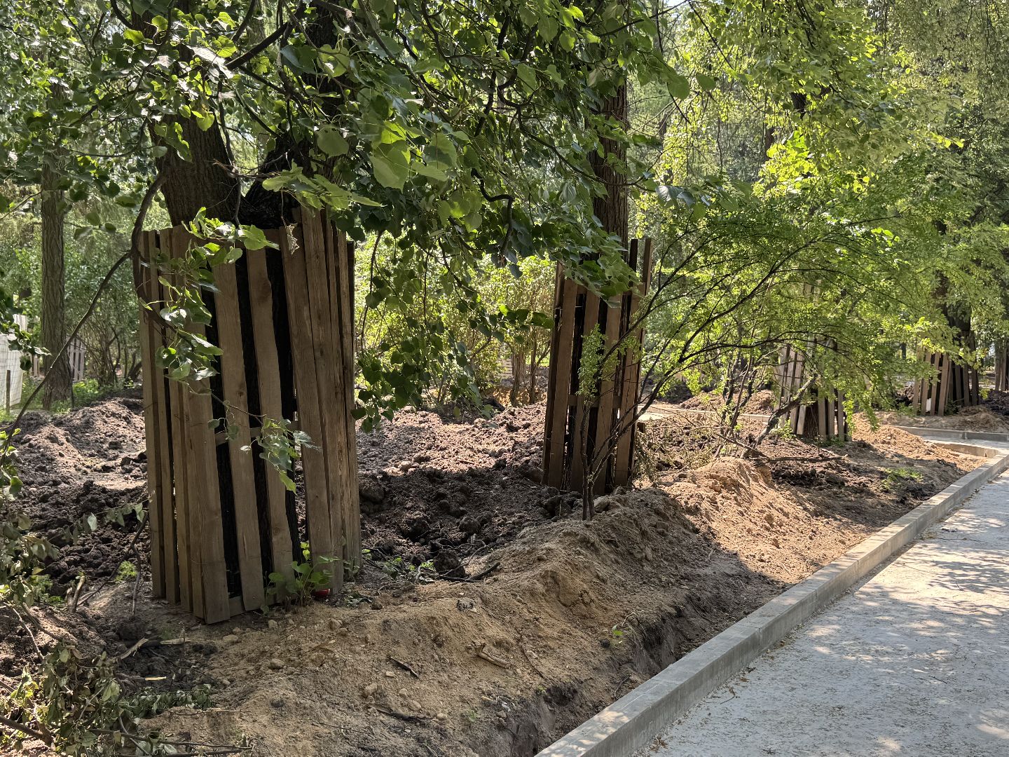 сквер по улице крупешина, Балашиха, благоустройство,