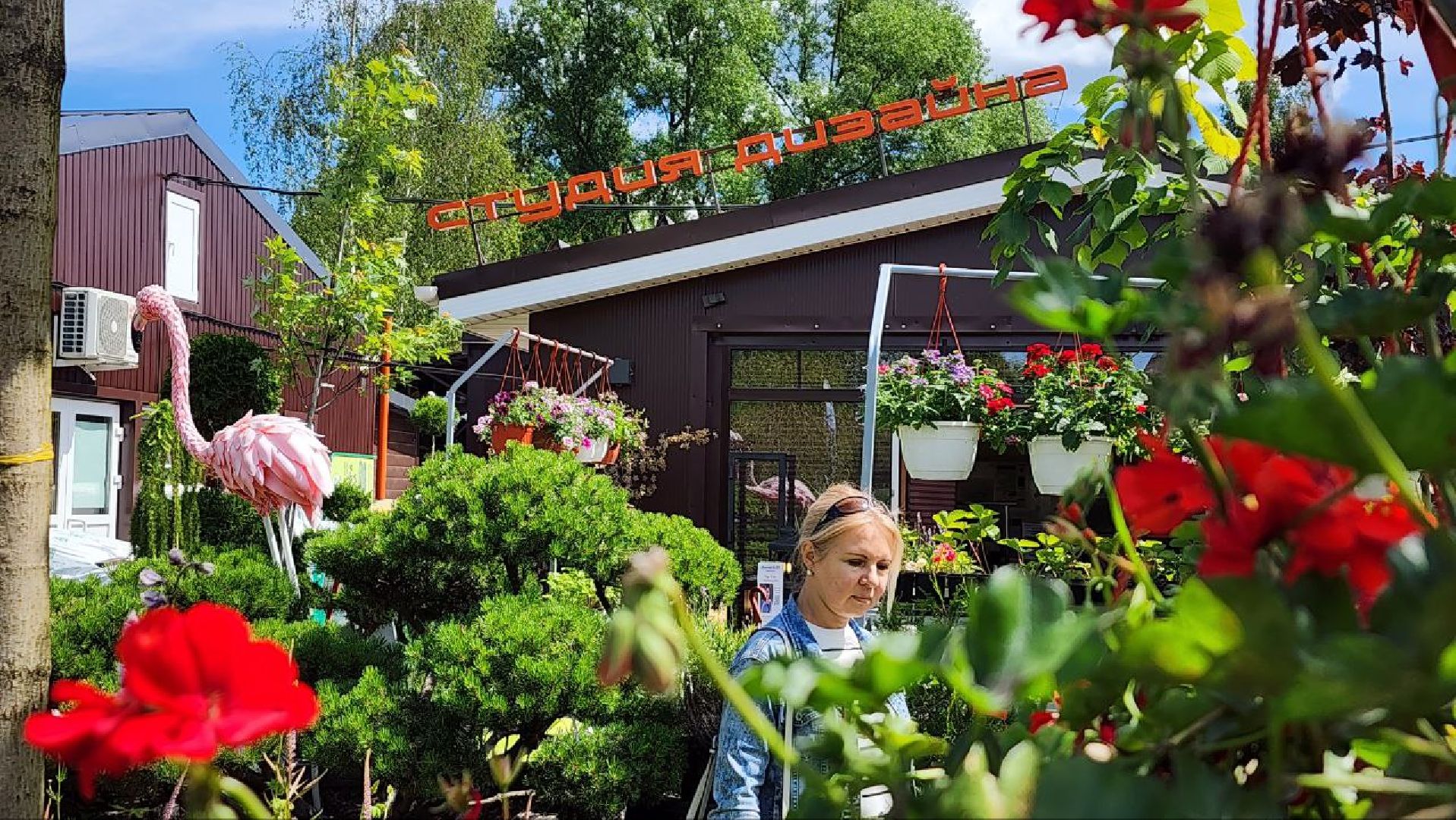 Дмитров, Мастера сада, Косолаповы, Ландшафтный дизайн,