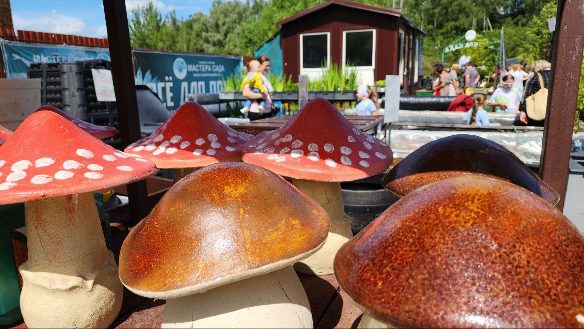 Дмитров, Мастера сада, Косолаповы, Ландшафтный дизайн,