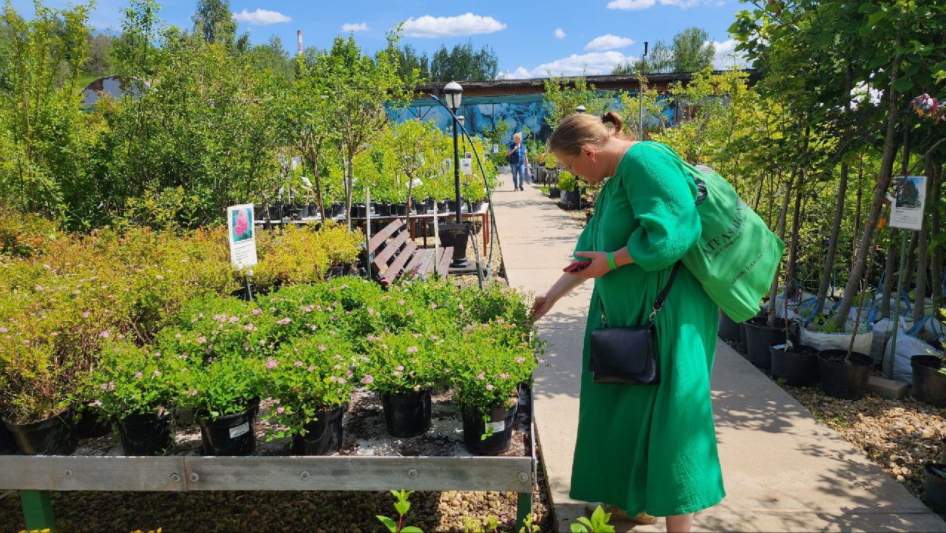 Дмитров, Мастера сада, Косолаповы, Ландшафтный дизайн,