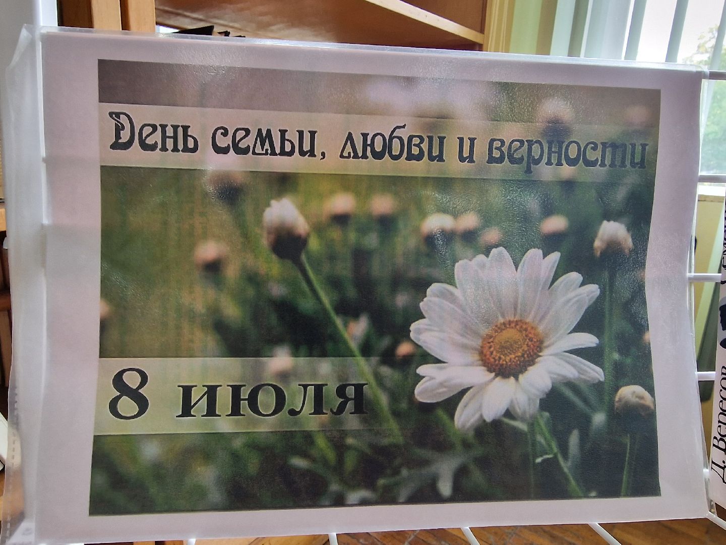 Дубна, Деньсемьилюбвииверности, БиблиотекаЛевобережья,