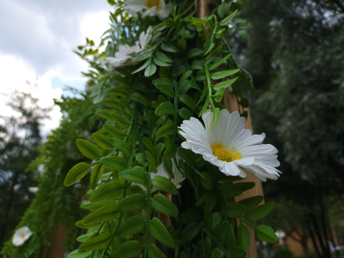 день семьи любви и верности, мытищи,