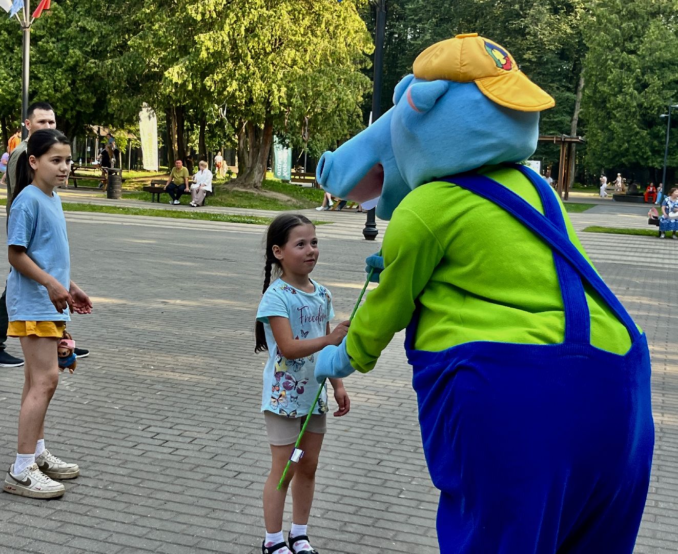наро-фоминск, наро-фоминский городской округ, центральный парк наро-фоминска, ромашковое настроение, волонтеры подмосковья,