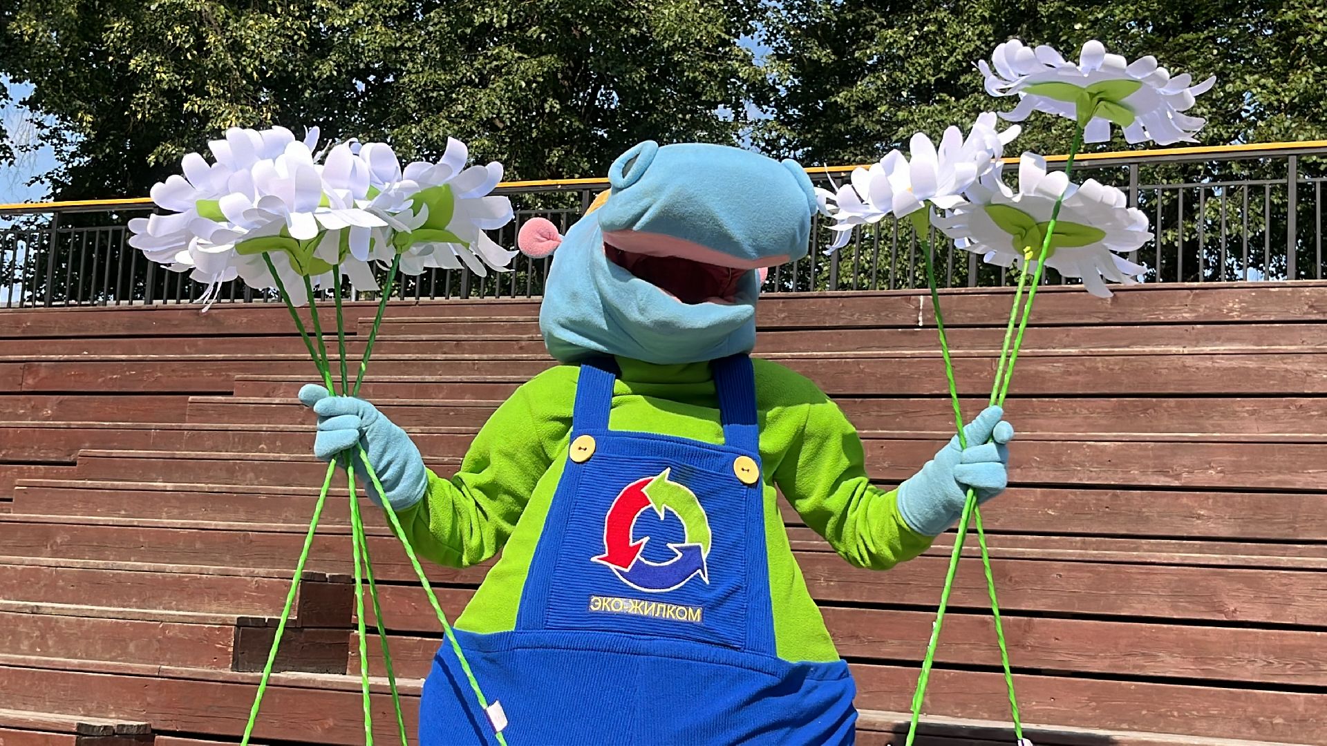 наро-фоминск, наро-фоминский городской округ, центральный парк наро-фоминска, ромашковое настроение, волонтеры подмосковья,