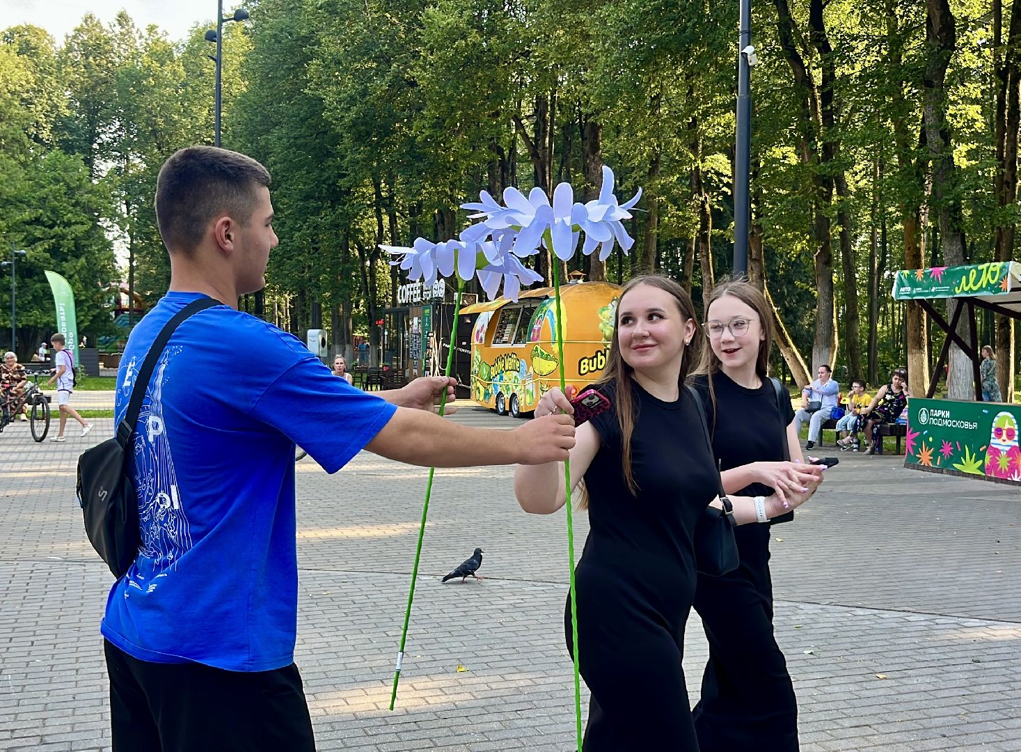 наро-фоминск, наро-фоминский городской округ, центральный парк наро-фоминска, ромашковое настроение, волонтеры подмосковья,