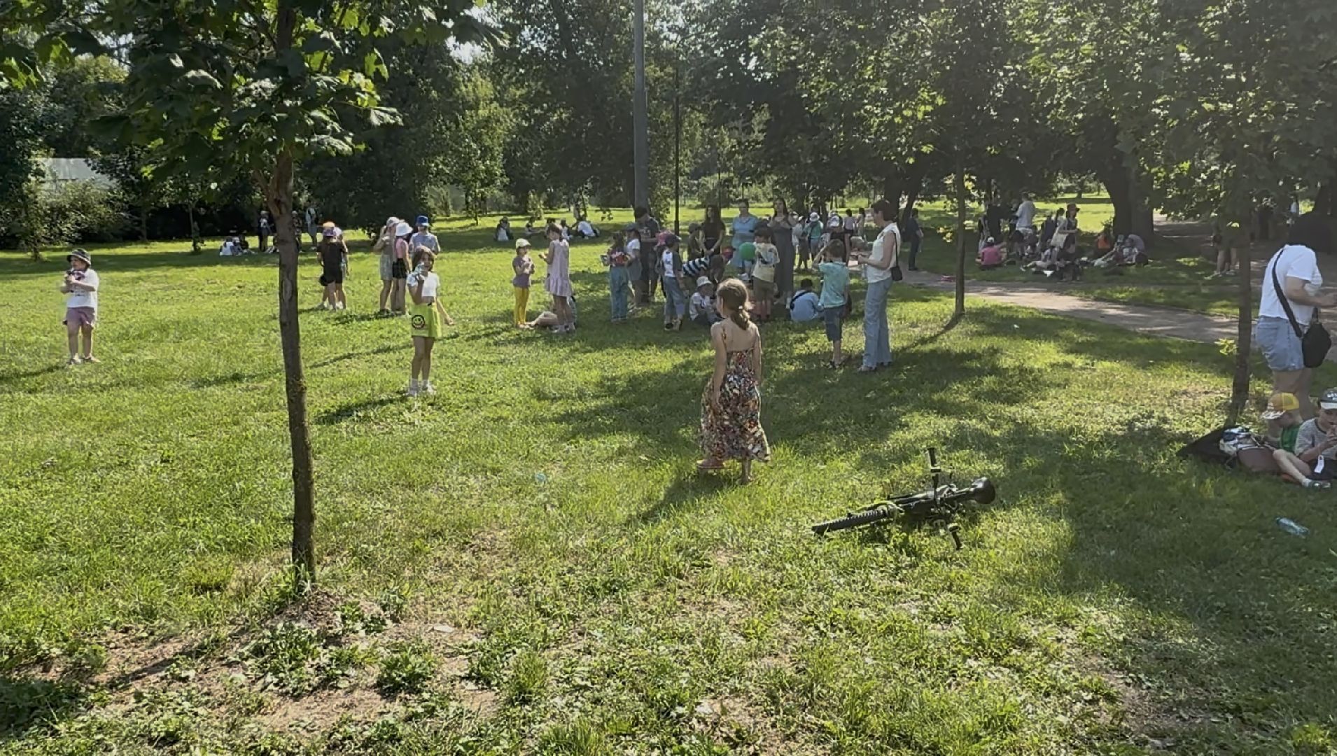 люберцы, праздник, центральный парк, день семьи, день семьи любви и верности,
