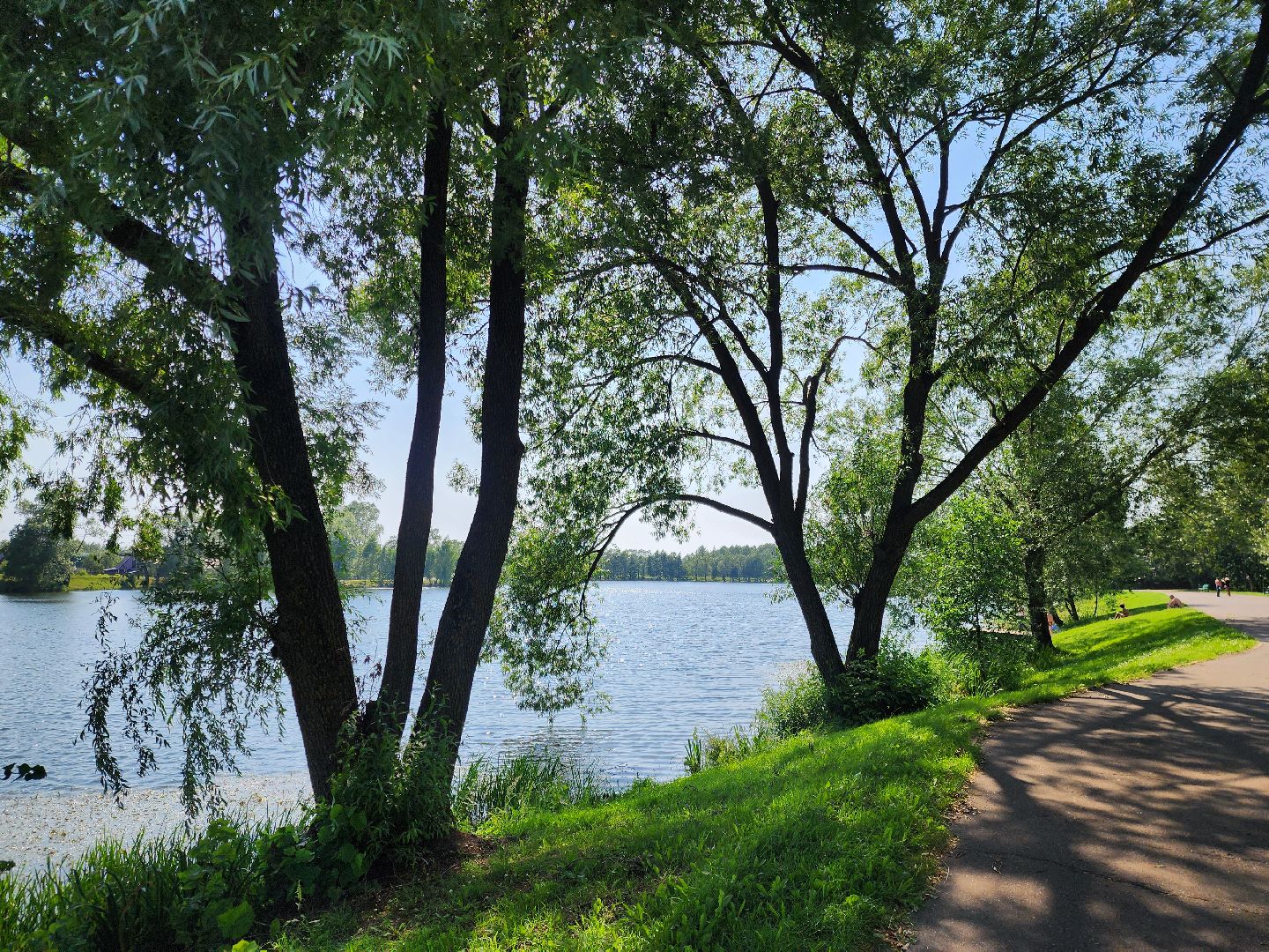 электроугли, богородский городской округ, жара, купальный сезон, отдых на воде, пруд,