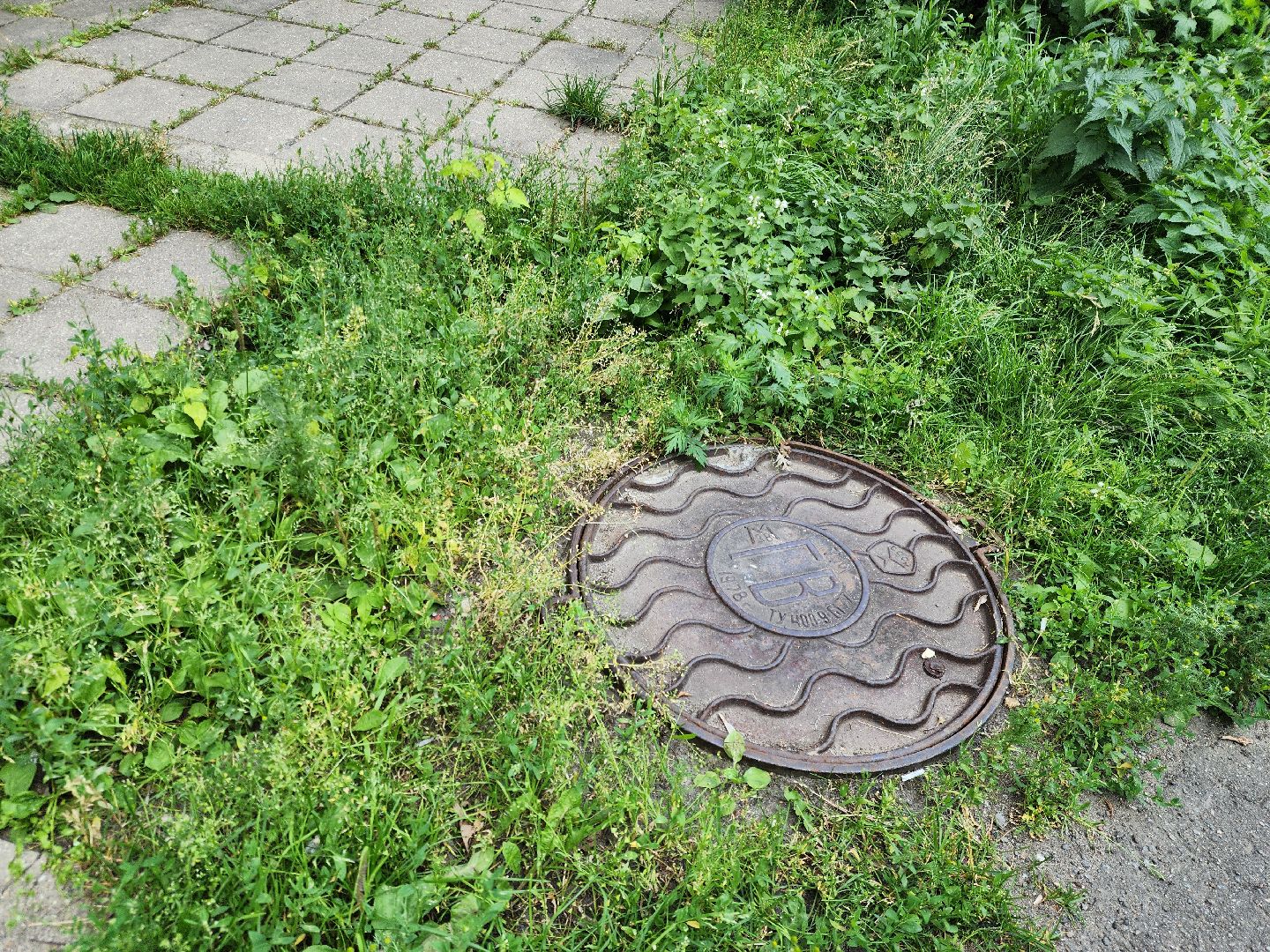 электроугли, богородский городской округ, жители, выездная администрация, общество, жкх,