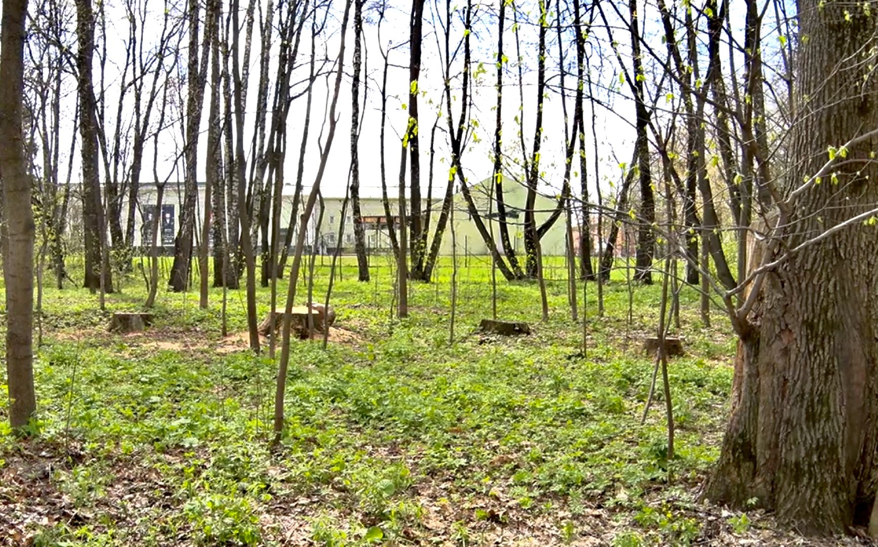 Клин, благоустройство, музеи, весенний сезон