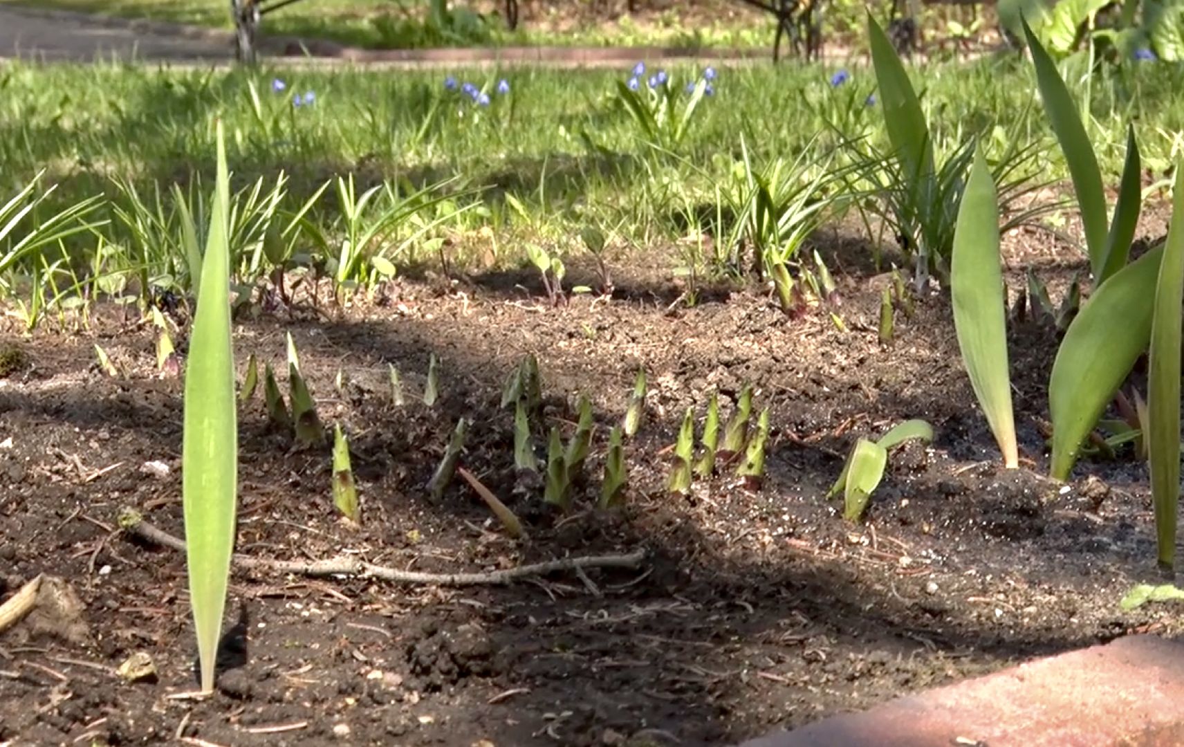 Клин, благоустройство, музеи, весенний сезон