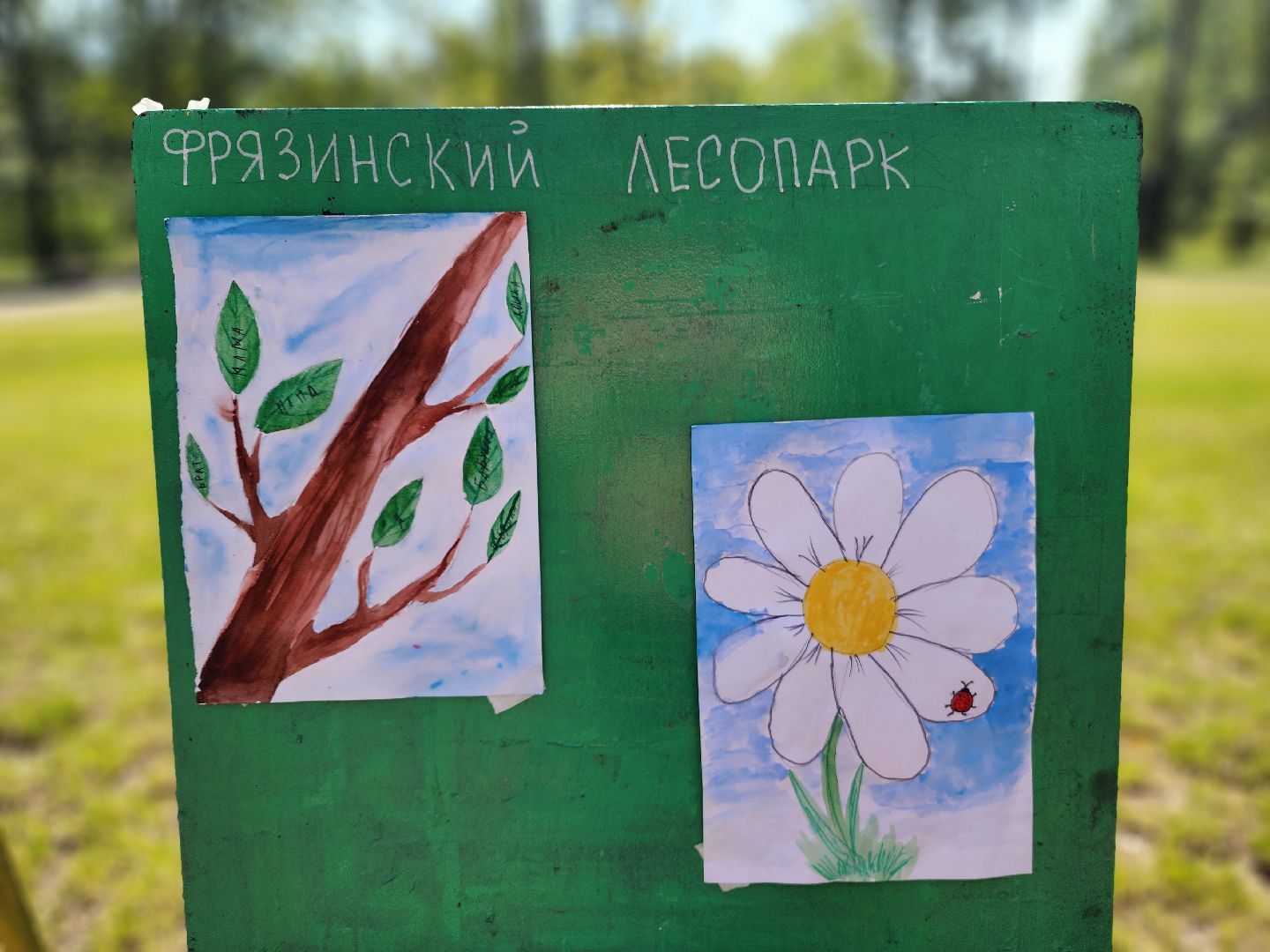 фрязино, летний детский лагерь, день семьи любви и верности, мастер-класс для детей, рисунки детей,