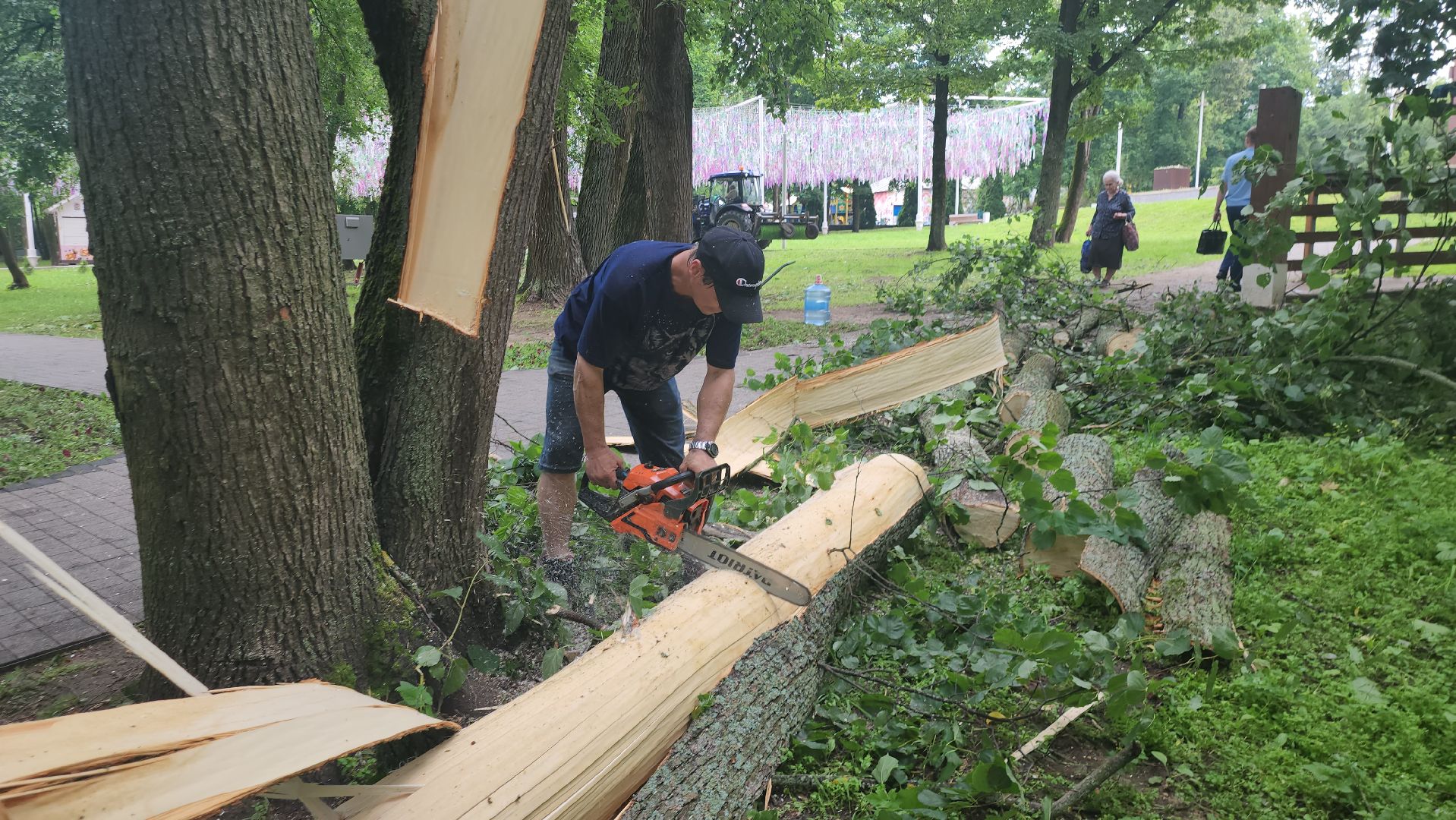 Истра, катаклизм, Парк,