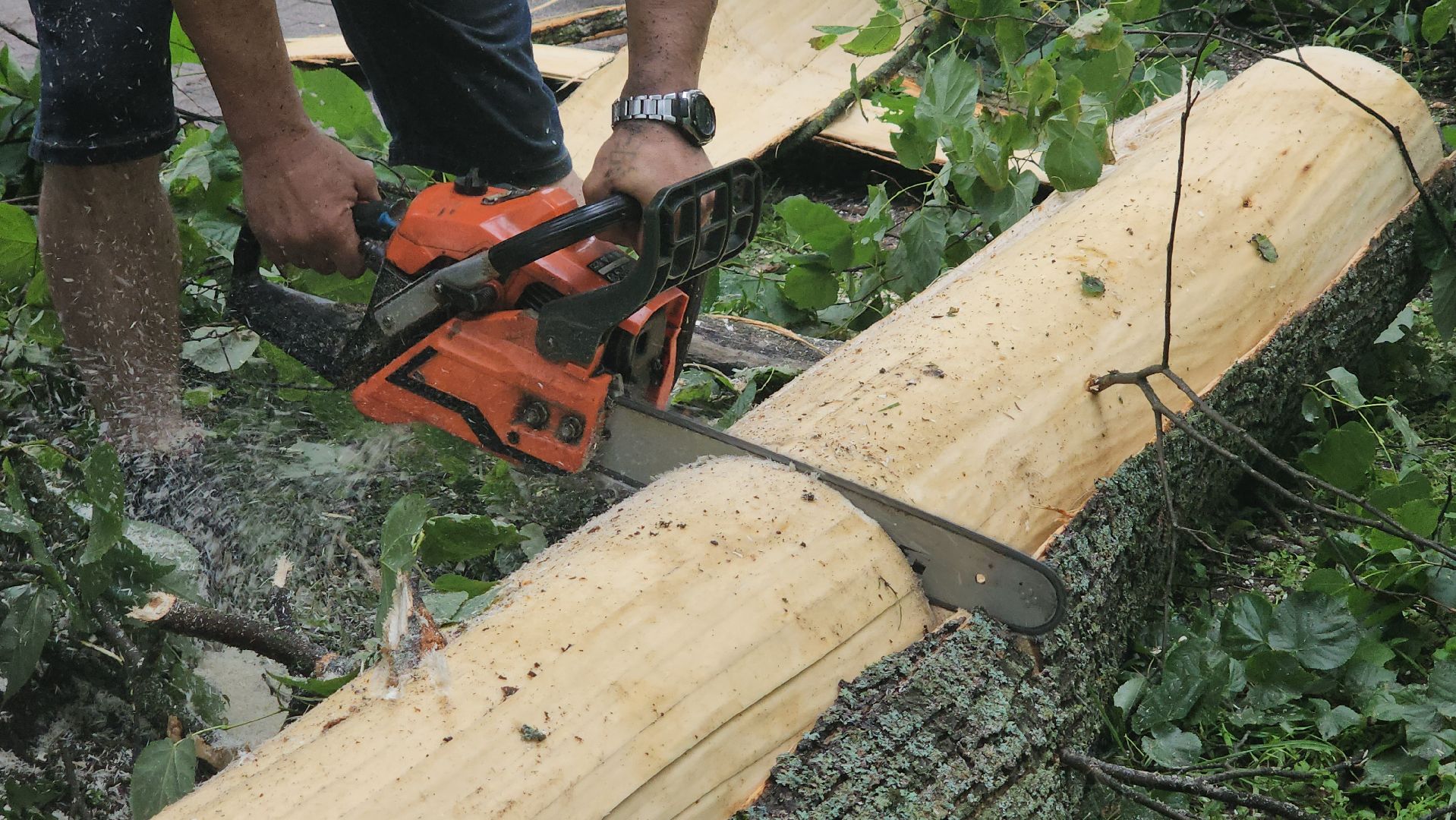 Истра, катаклизм, Парк,