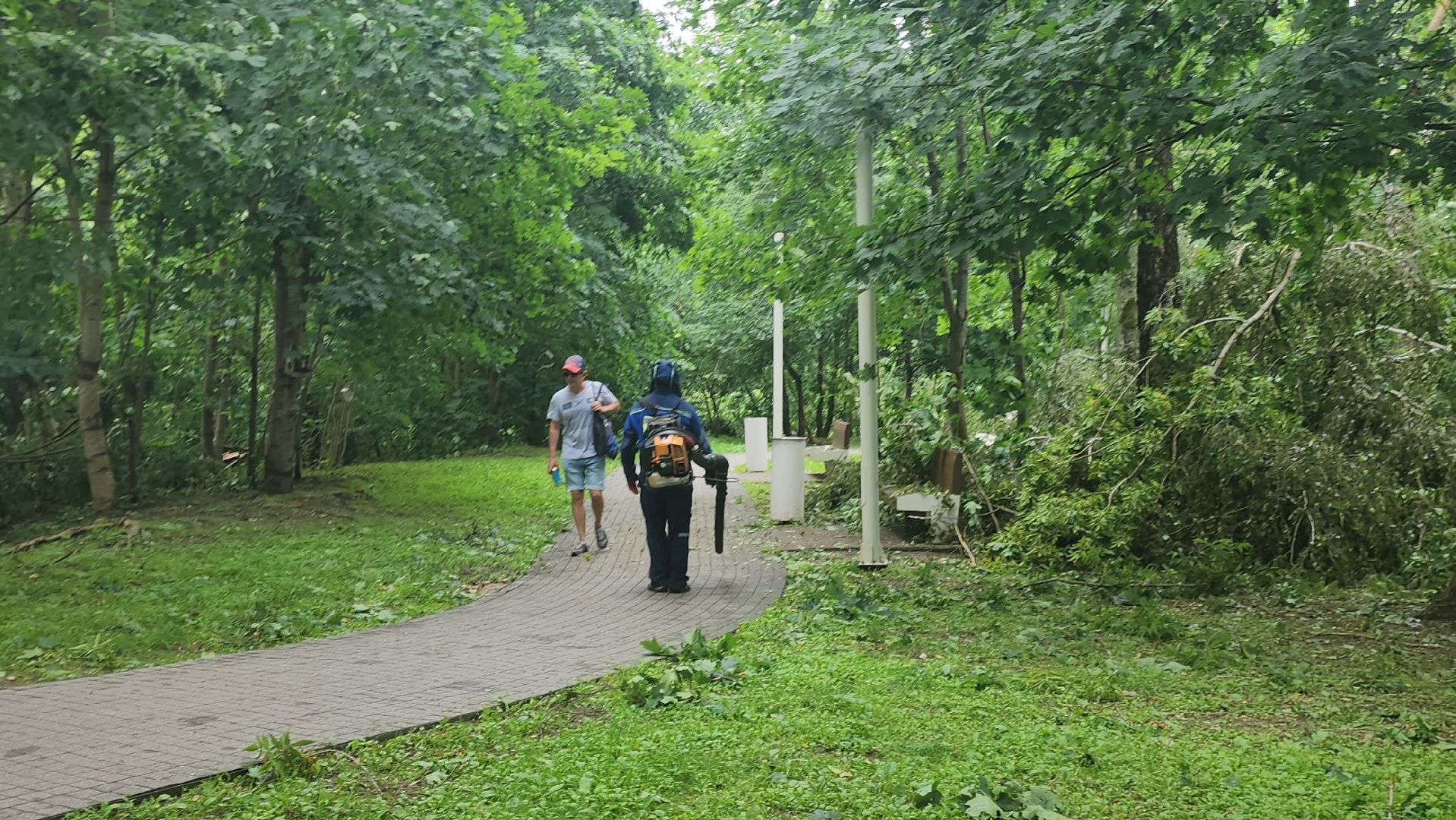 Истра, катаклизм, Парк,