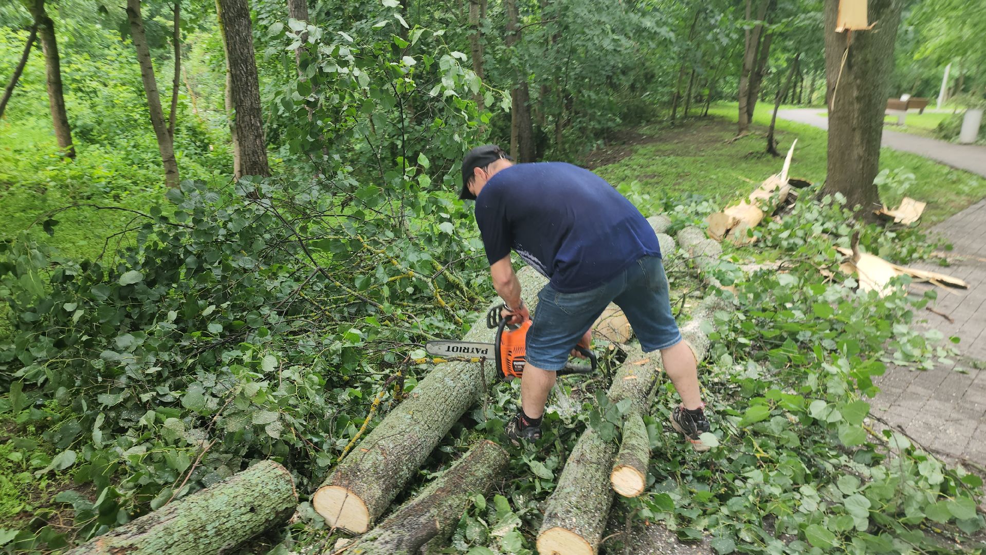 Истра, катаклизм, Парк,