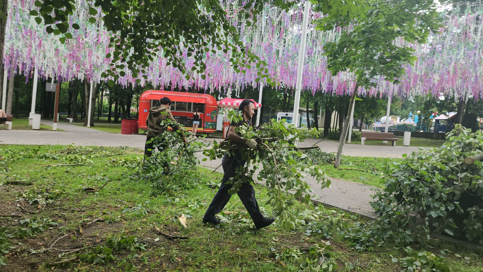 Истра, катаклизм, Парк,