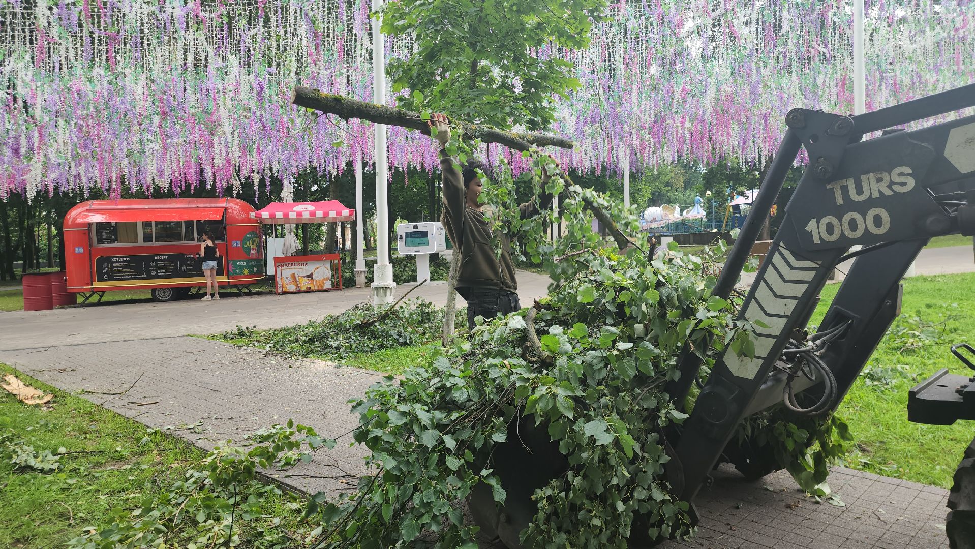 Истра, катаклизм, Парк,